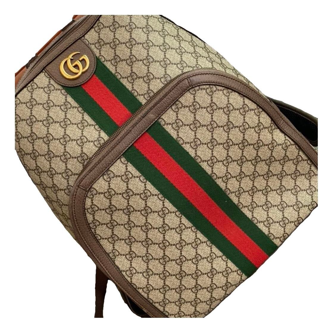 Ophidia backpack