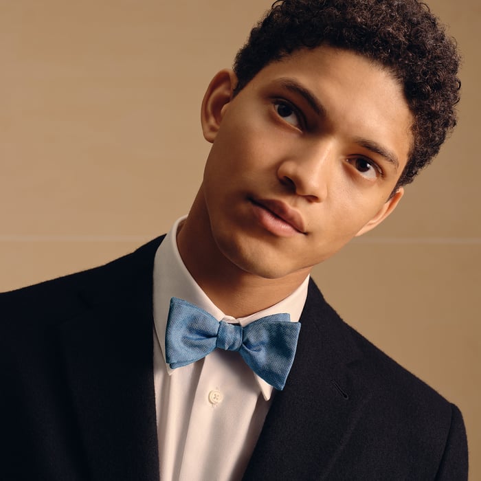 Bleu Grisé Terre d'H Bow Tie