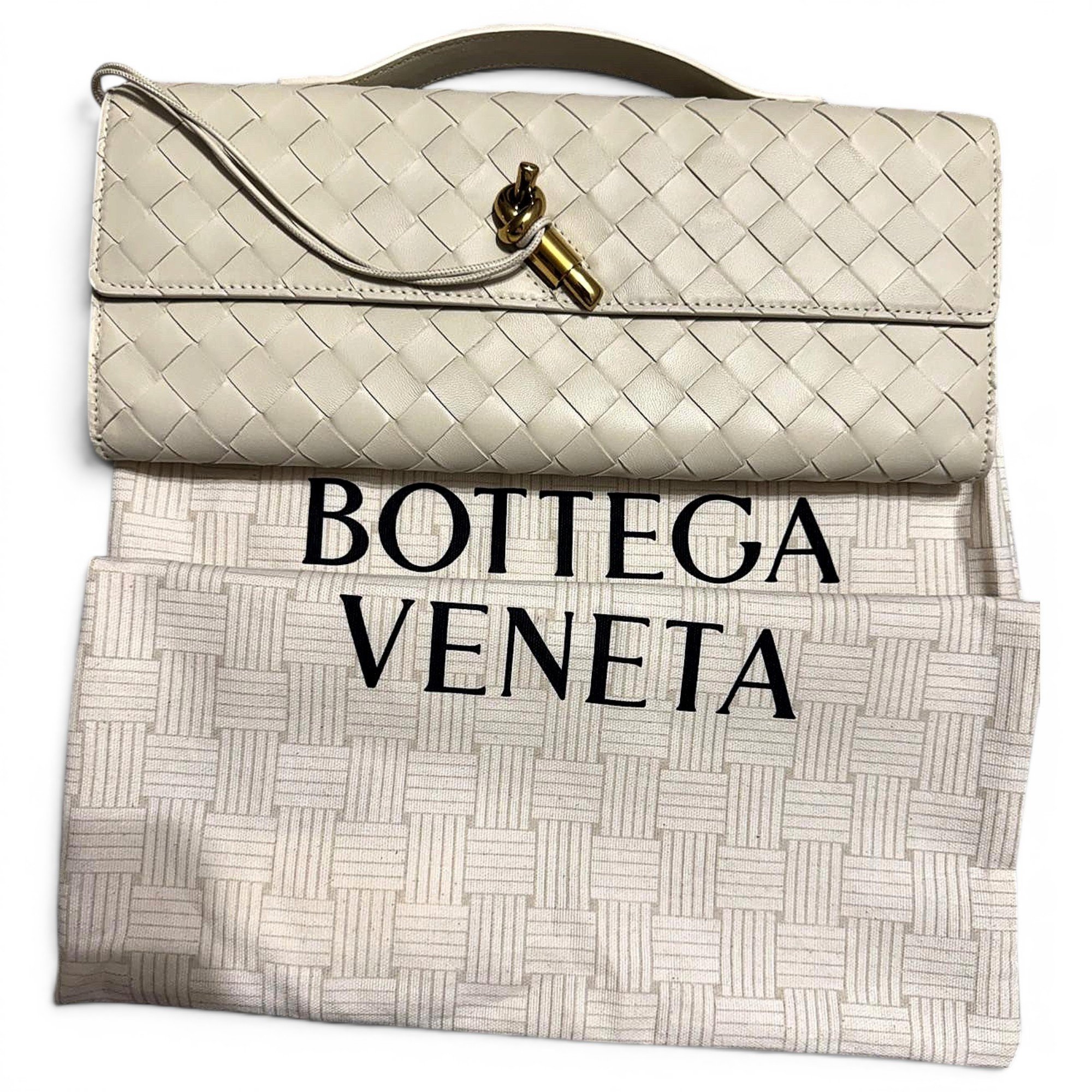 Andiamo leather clutch bag