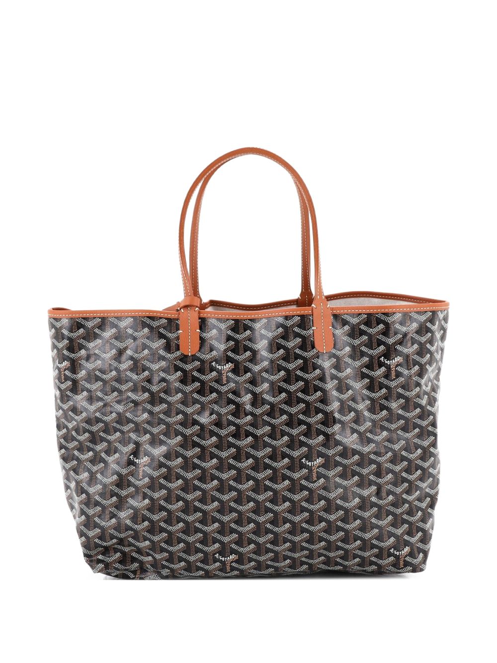 Saint Louis Coated Canvas PM tote bag