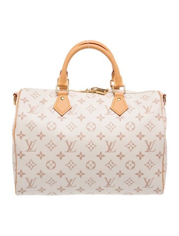LV Monogram Lucky Speedy Soft 30