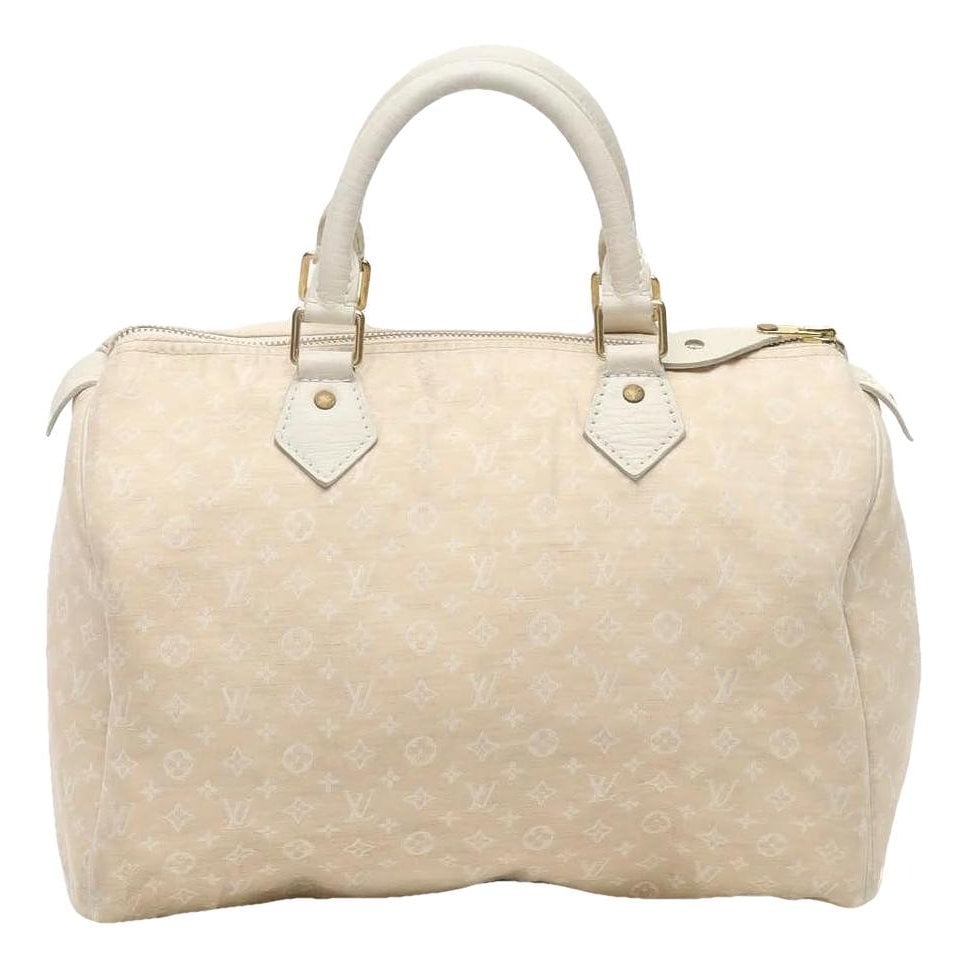 Speedy cloth handbag