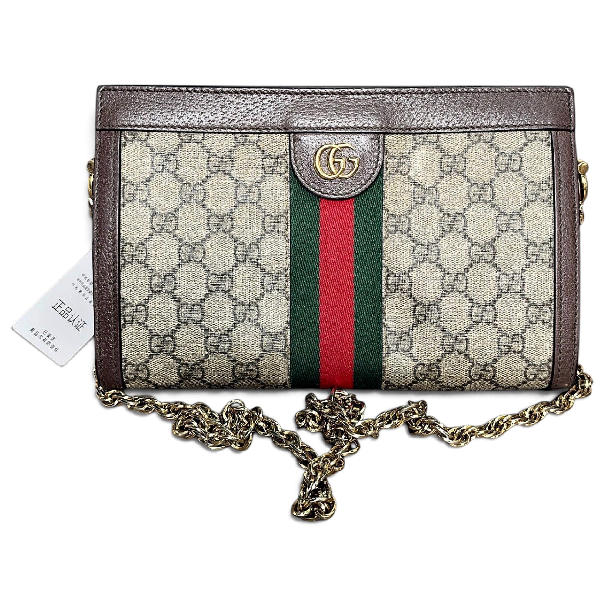 Gucci Ophidia Chain leather handbag