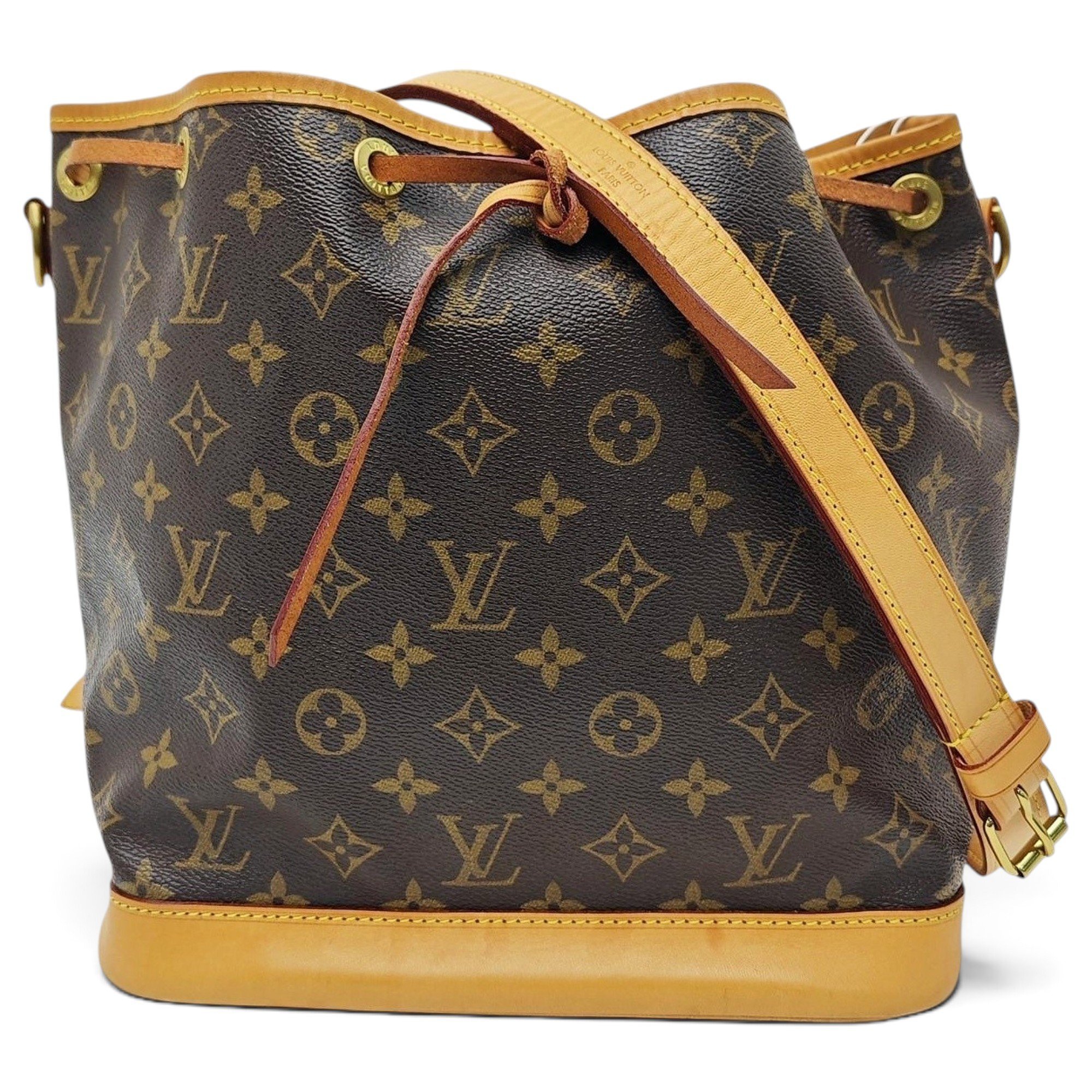Nano Noé leather handbag