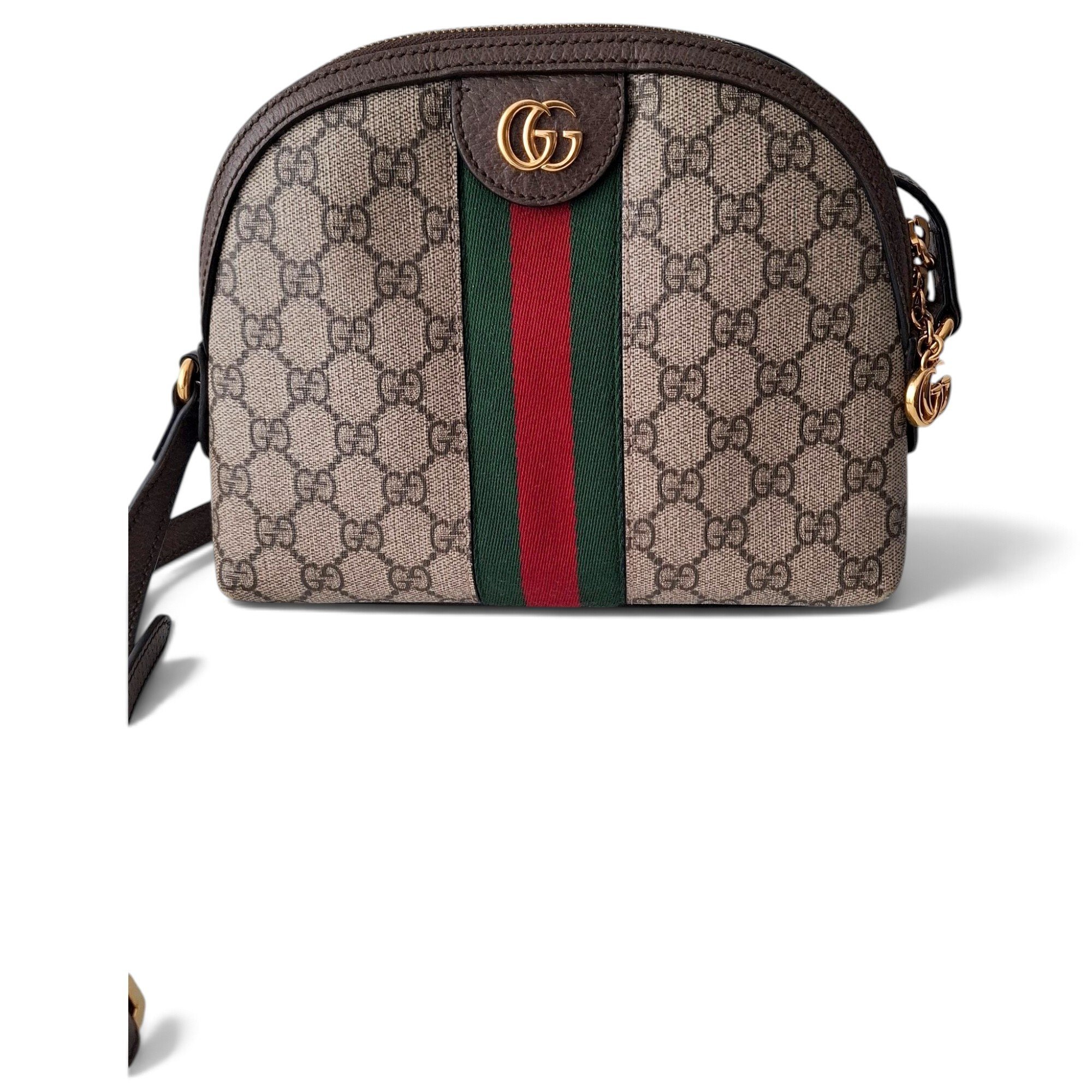 Ophidia Dome leather crossbody bag