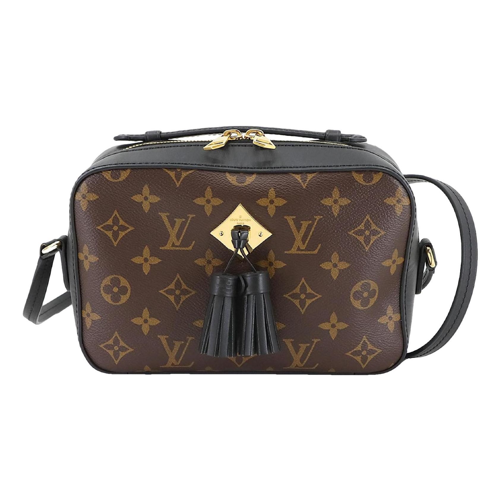 Saintonge leather crossbody bag