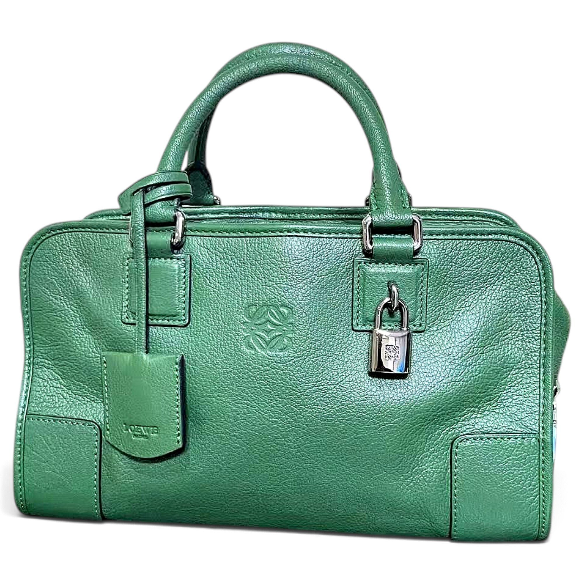 Amazona leather handbag