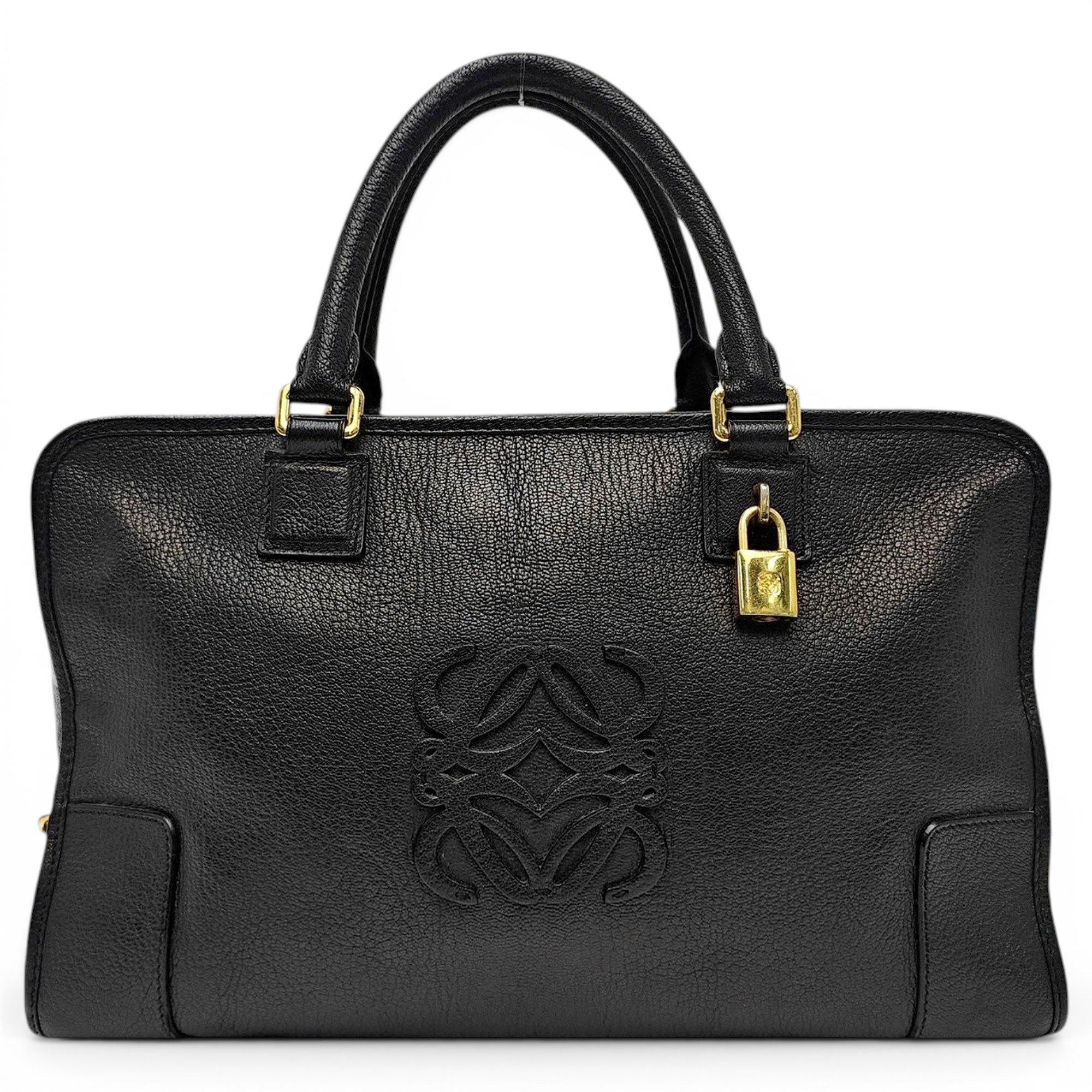 Amazona leather handbag