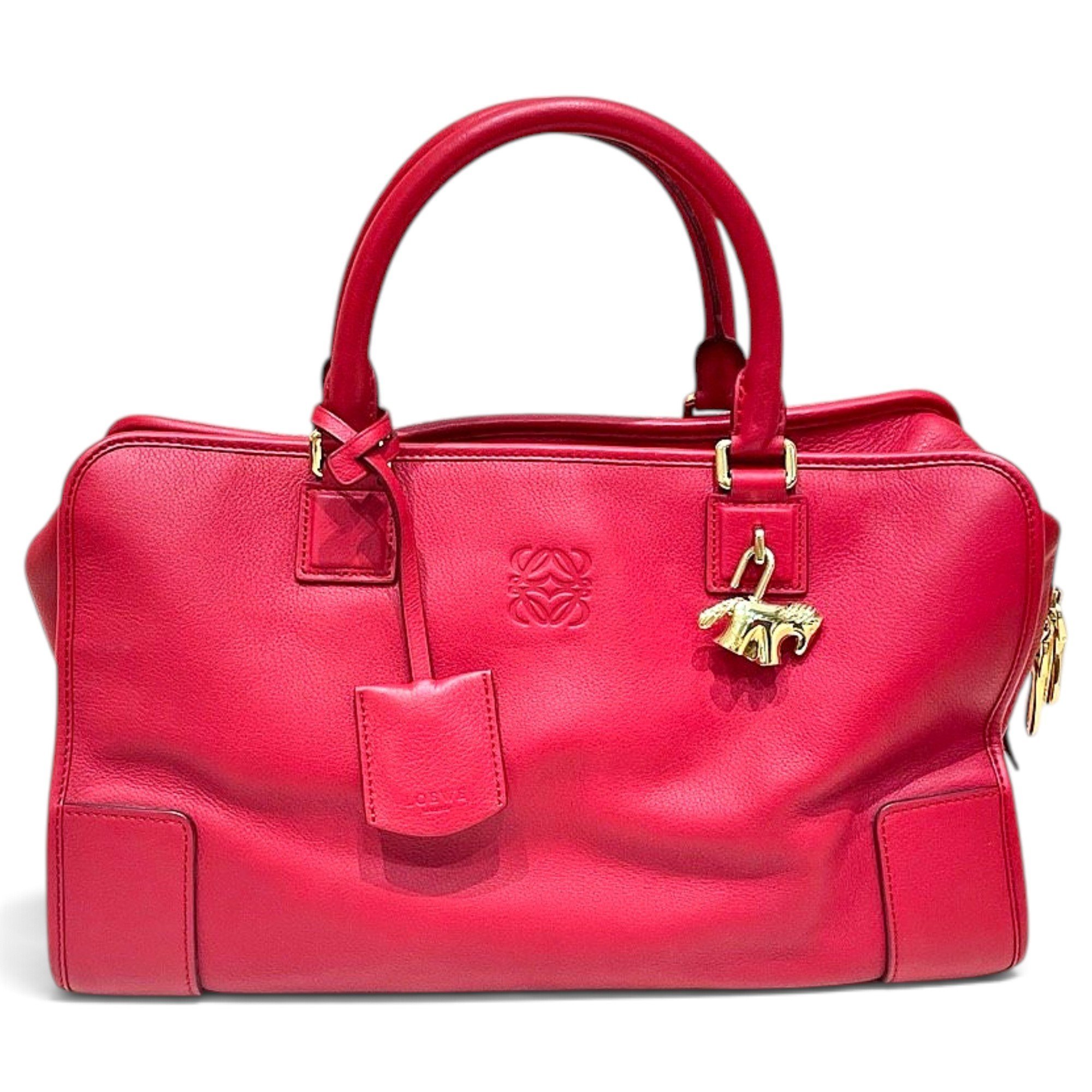 Loewe Amazona leather handbag