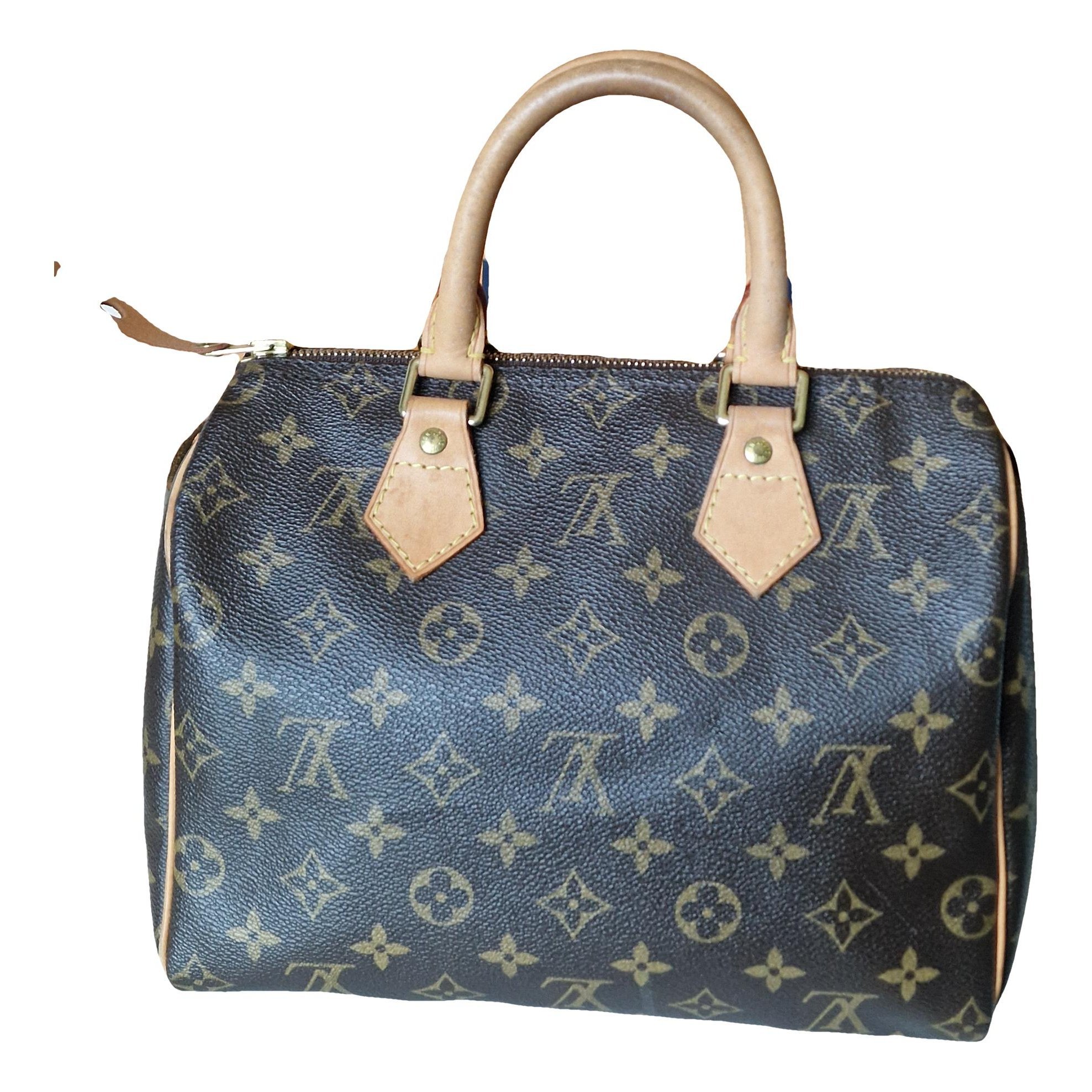 Speedy leather handbag