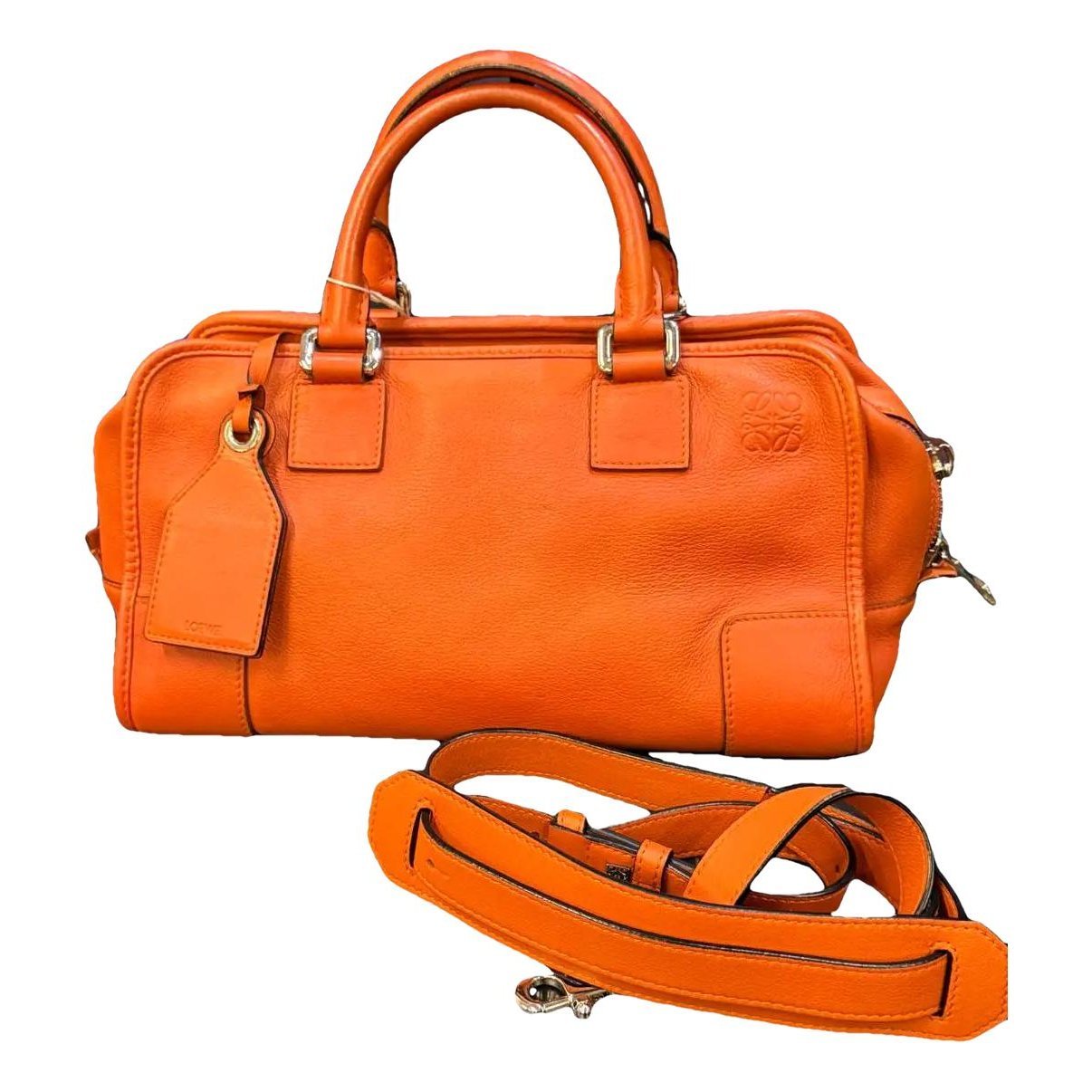 Amazona leather handbag