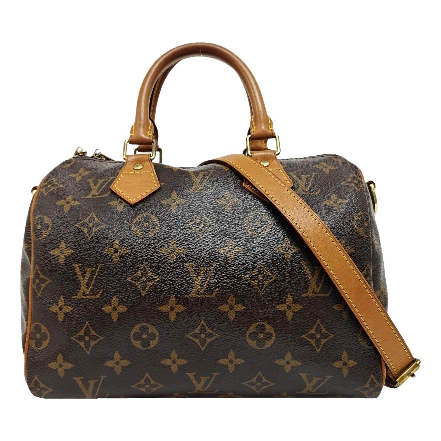 Nano Speedy / Mini HL leather handbag