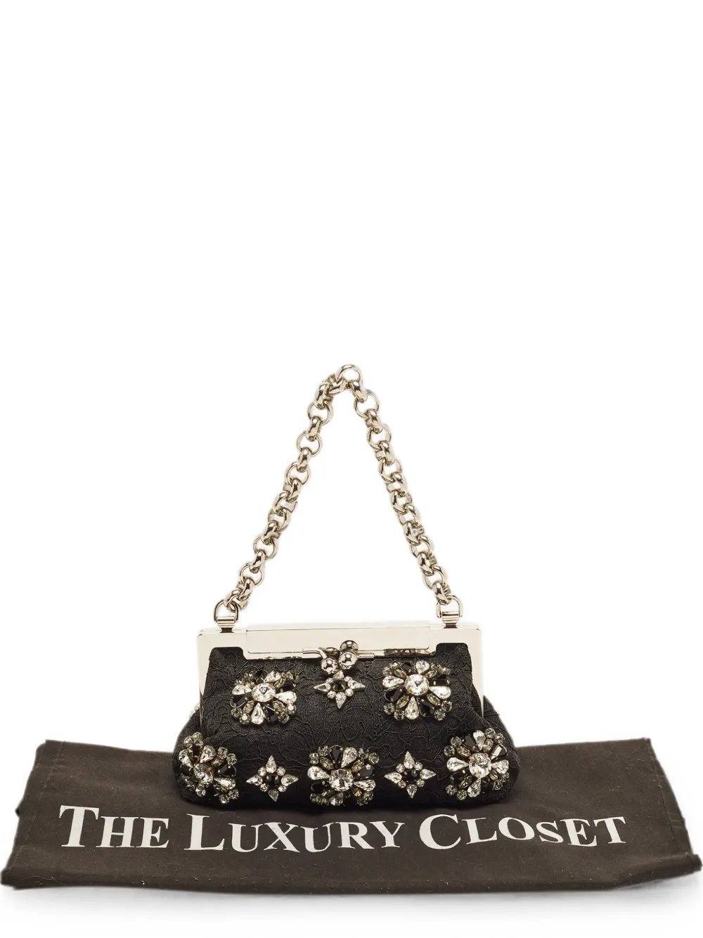 Vanda crystal lace mini bag