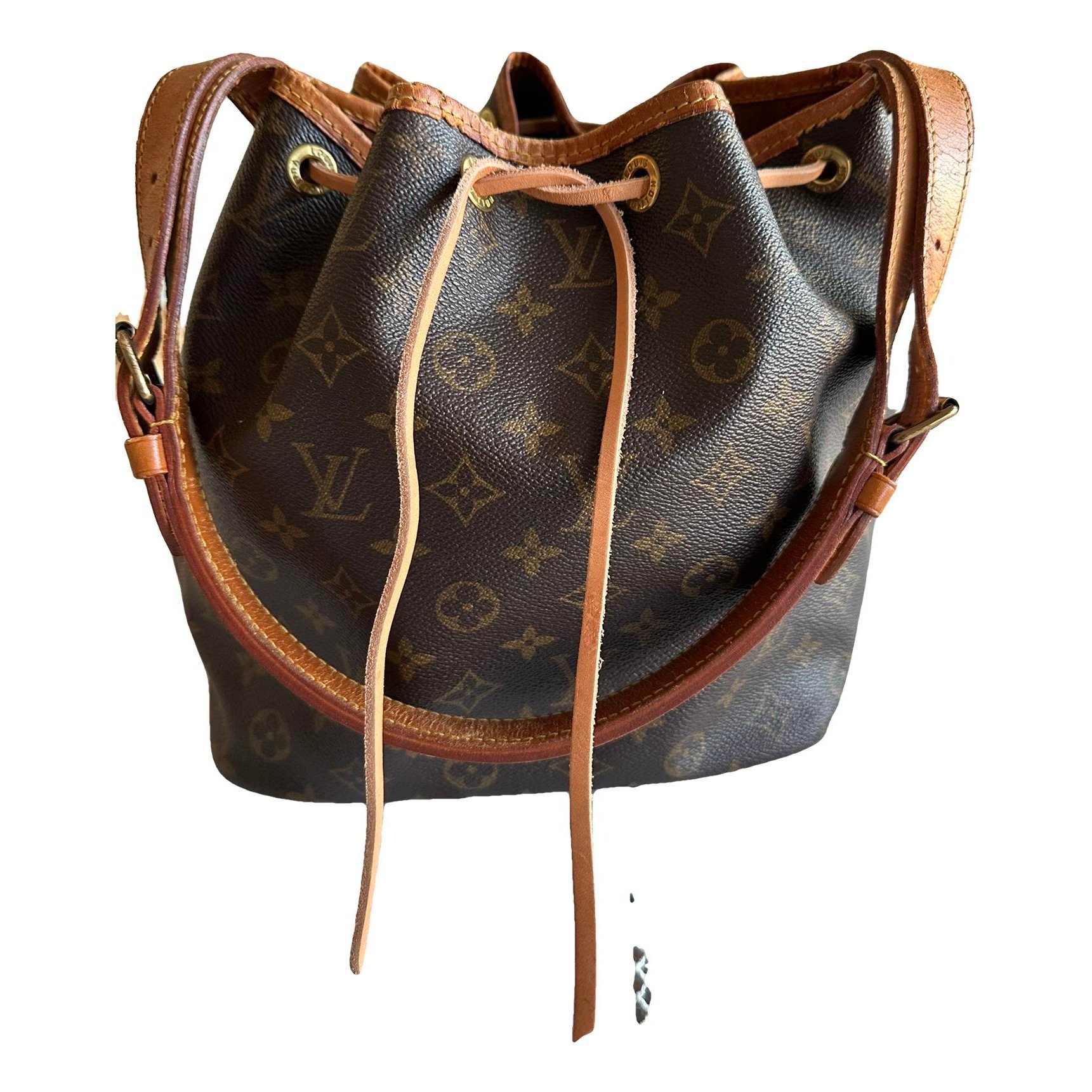 Nano Noé leather handbag