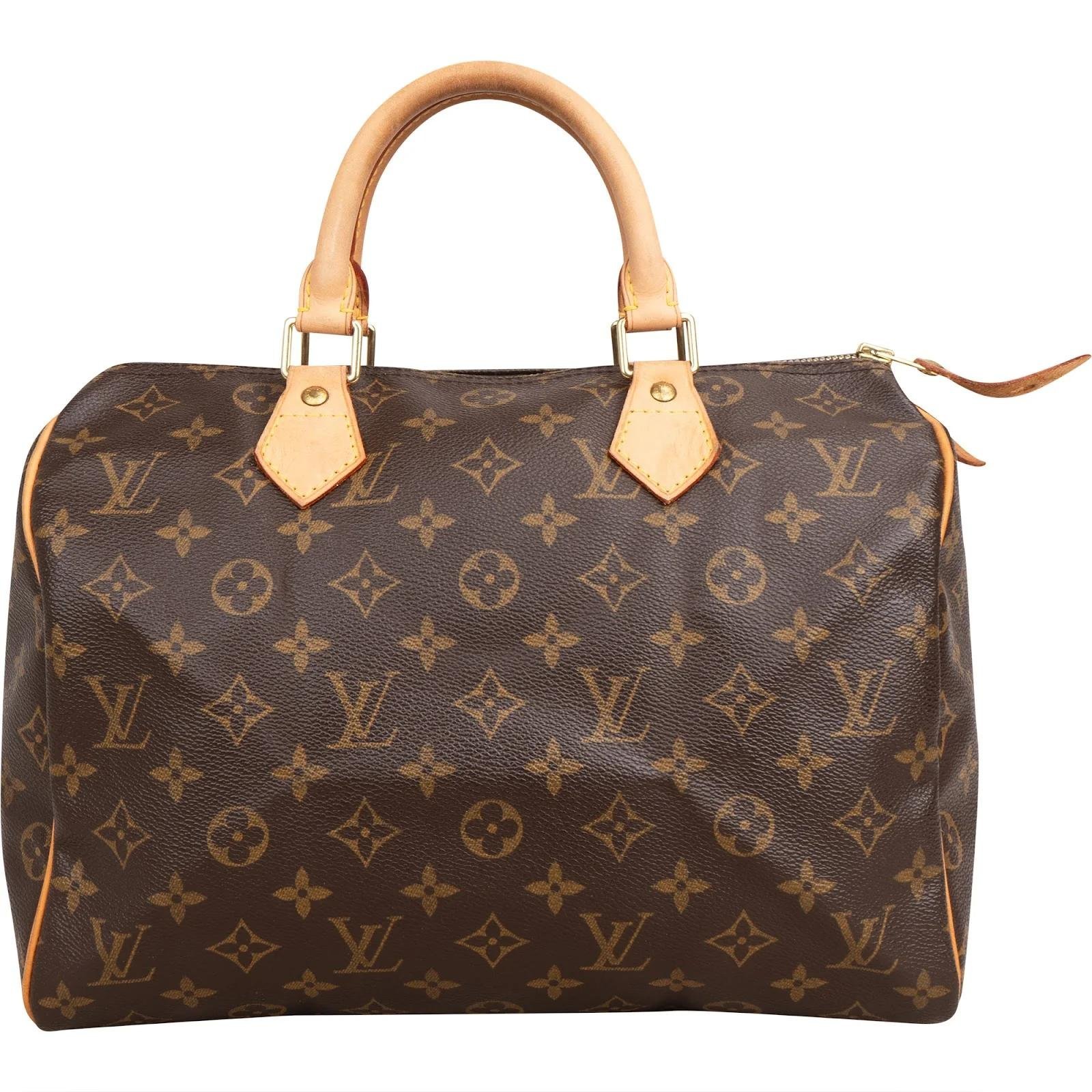 Speedy leather handbag