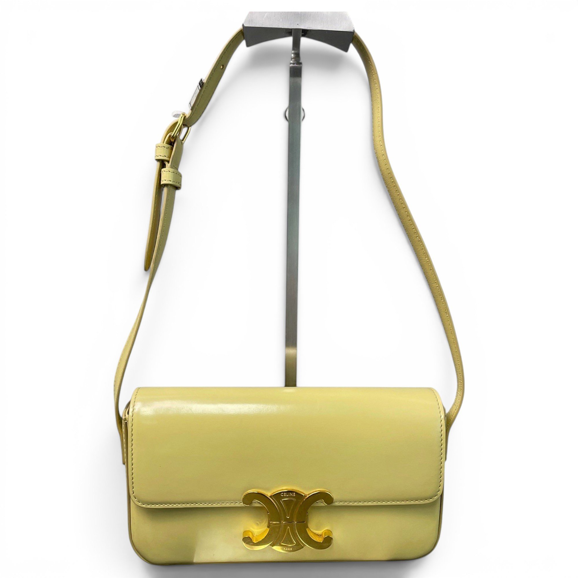 Triomphe Long leather handbag