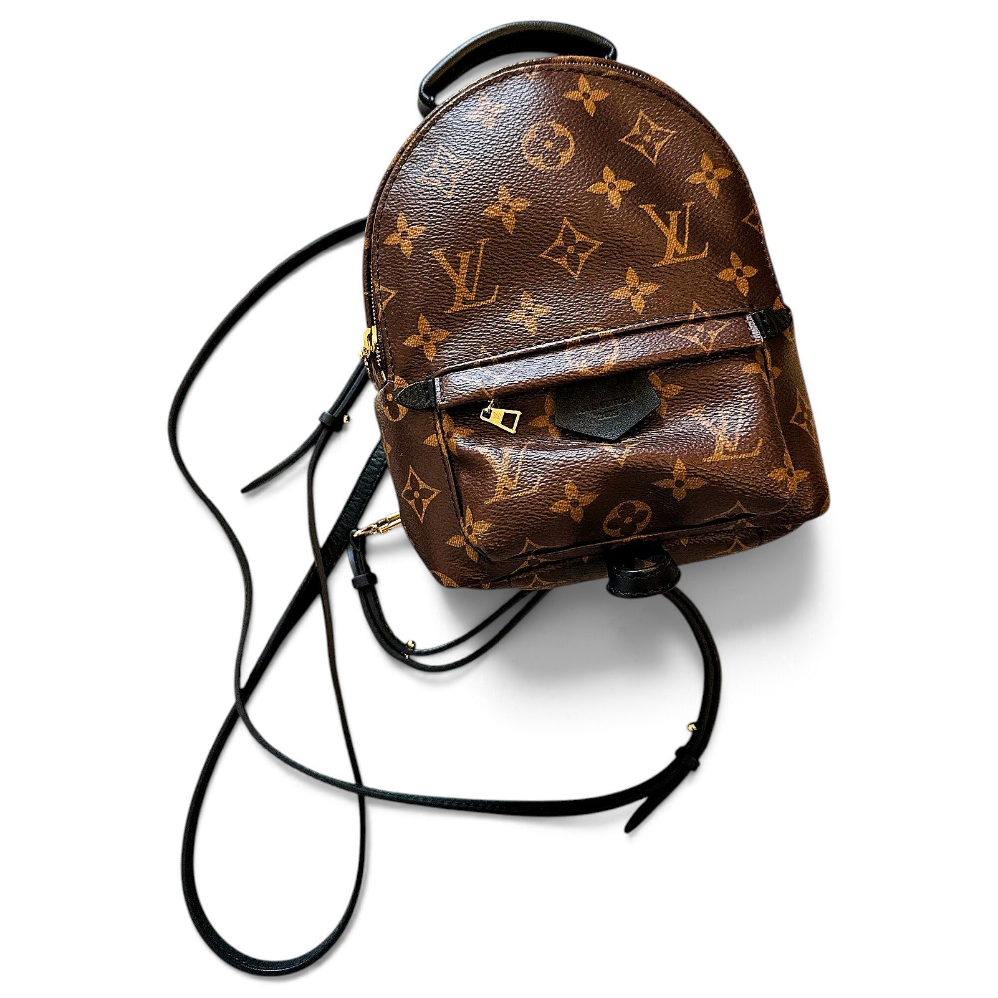 Palm Springs backpack