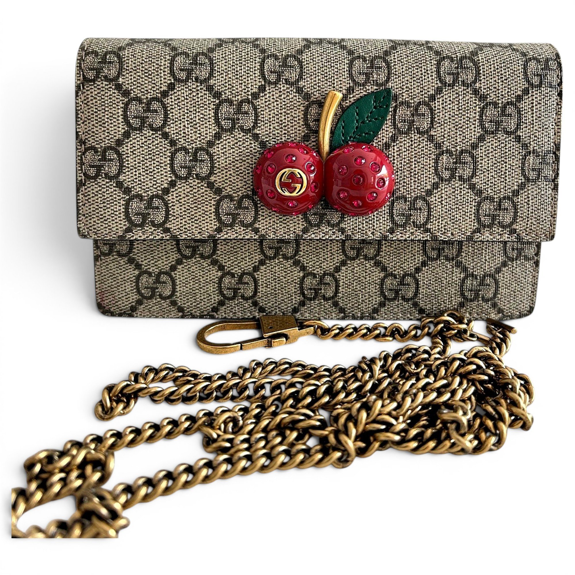 Dionysus Chain Wallet cloth crossbody bag