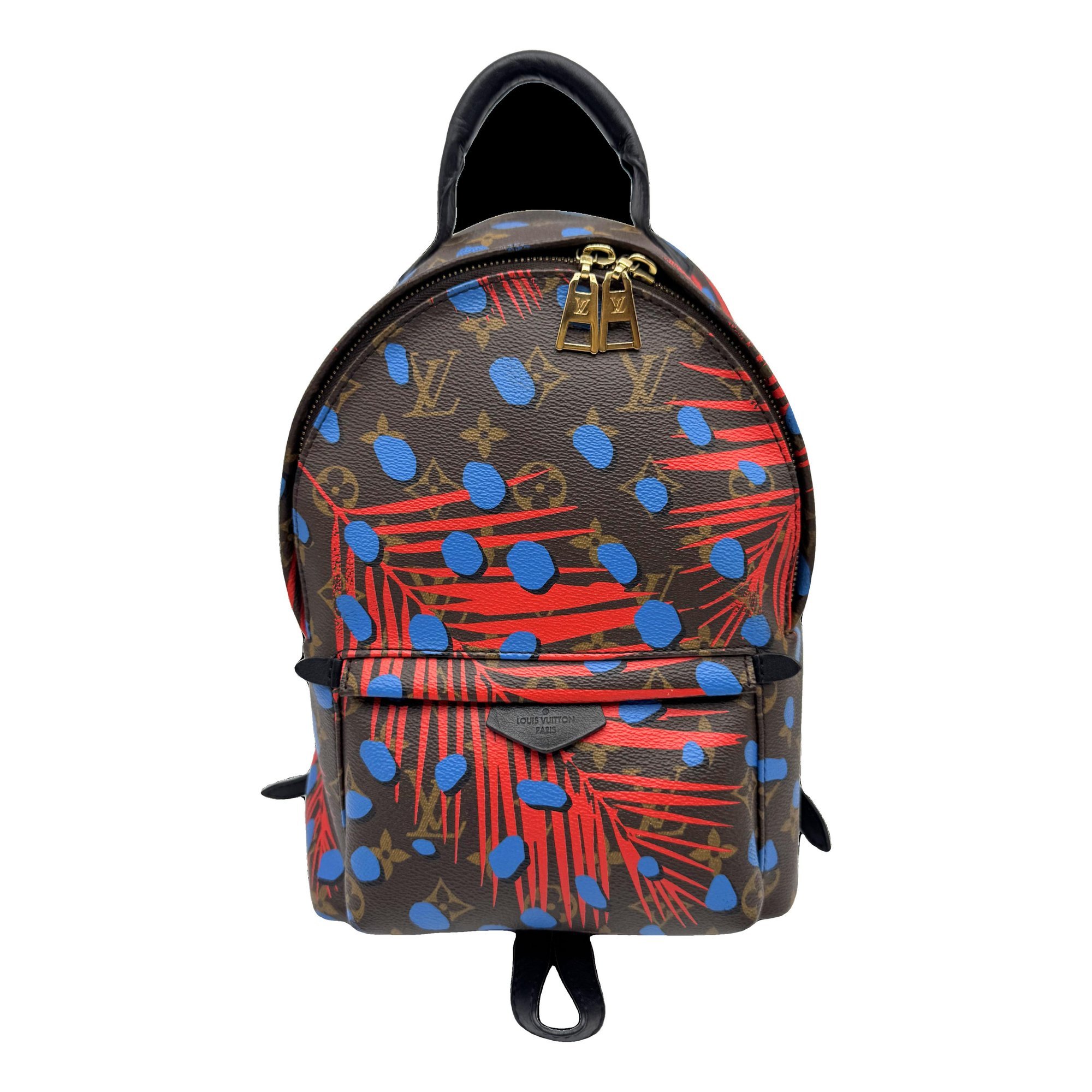 Palm Springs cloth backpack