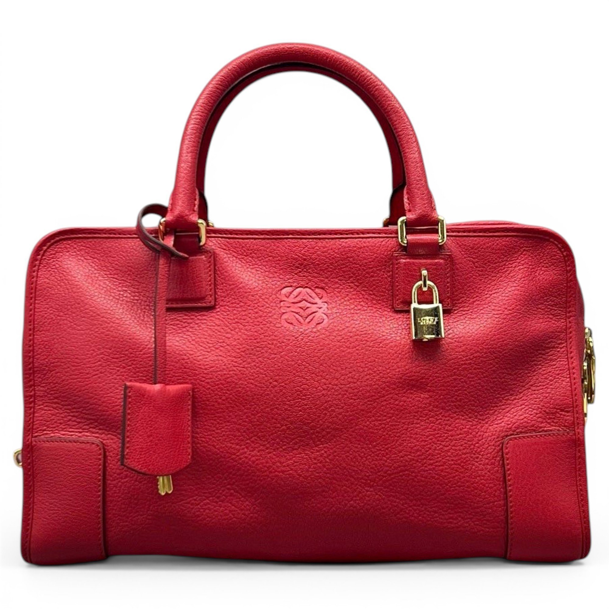 Amazona leather handbag