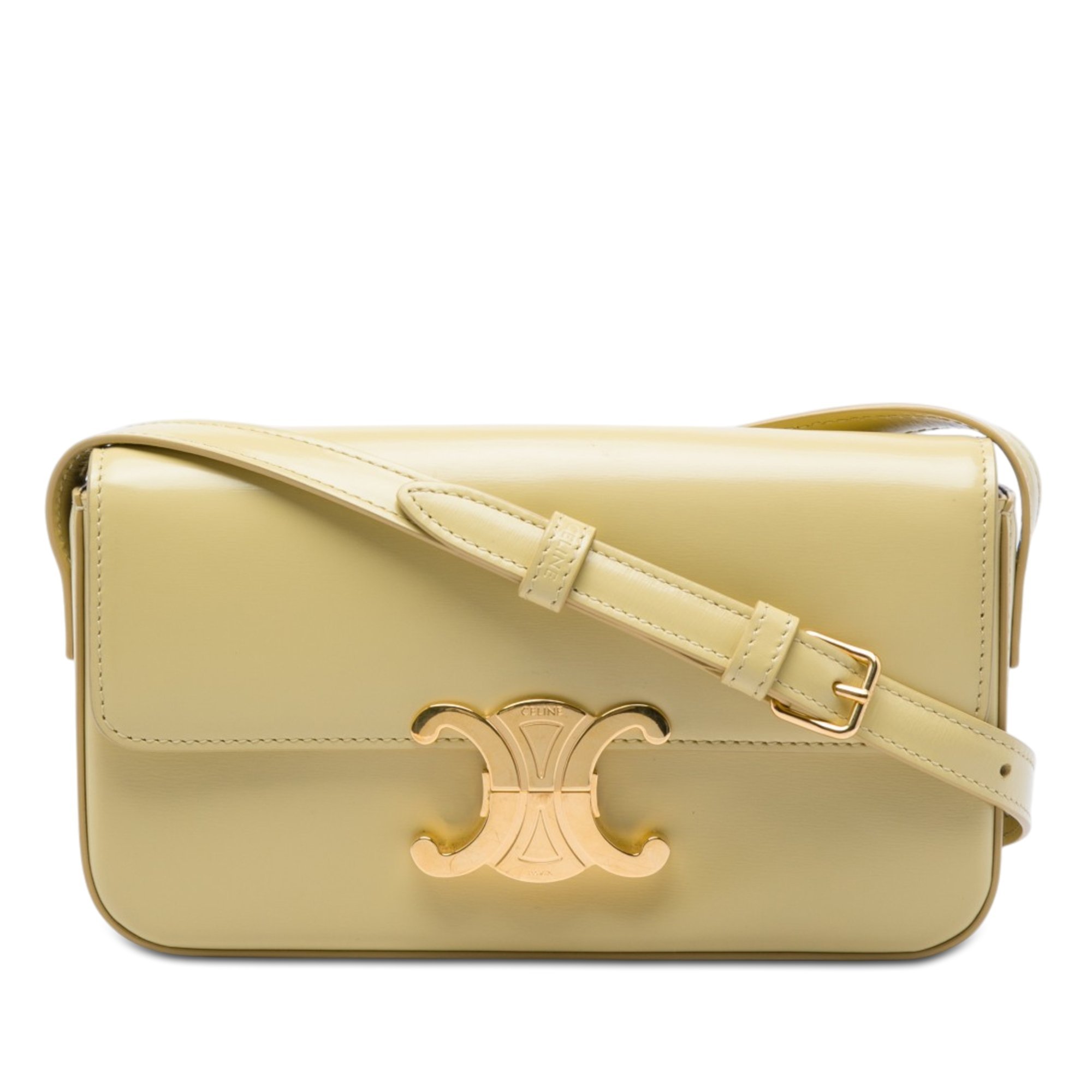 Triomphe leather handbag