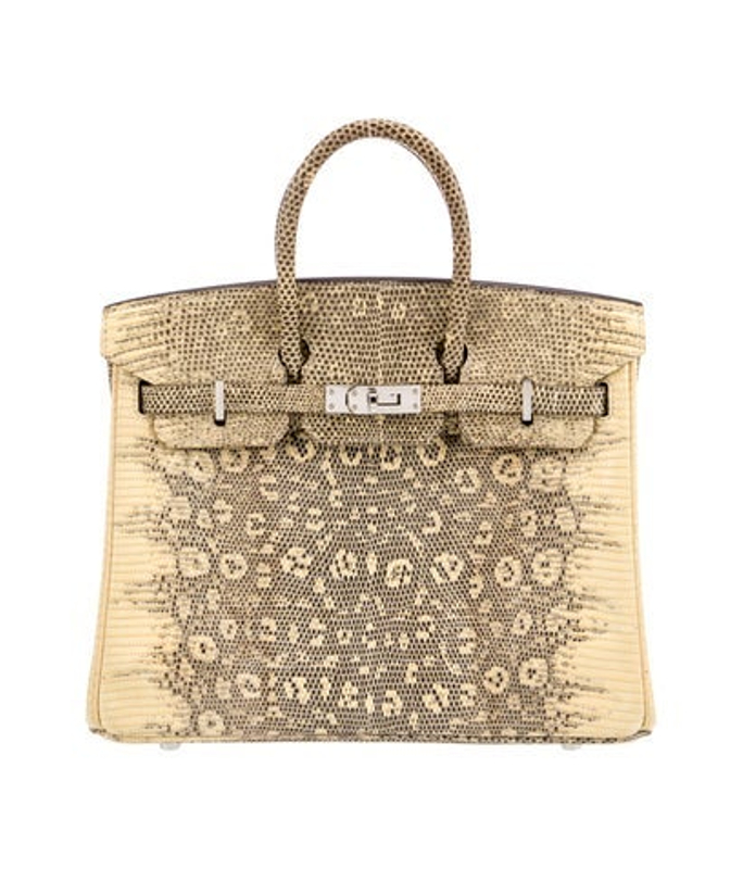 Hermes Ombre Varanus Salvator Lizard Birkin 25