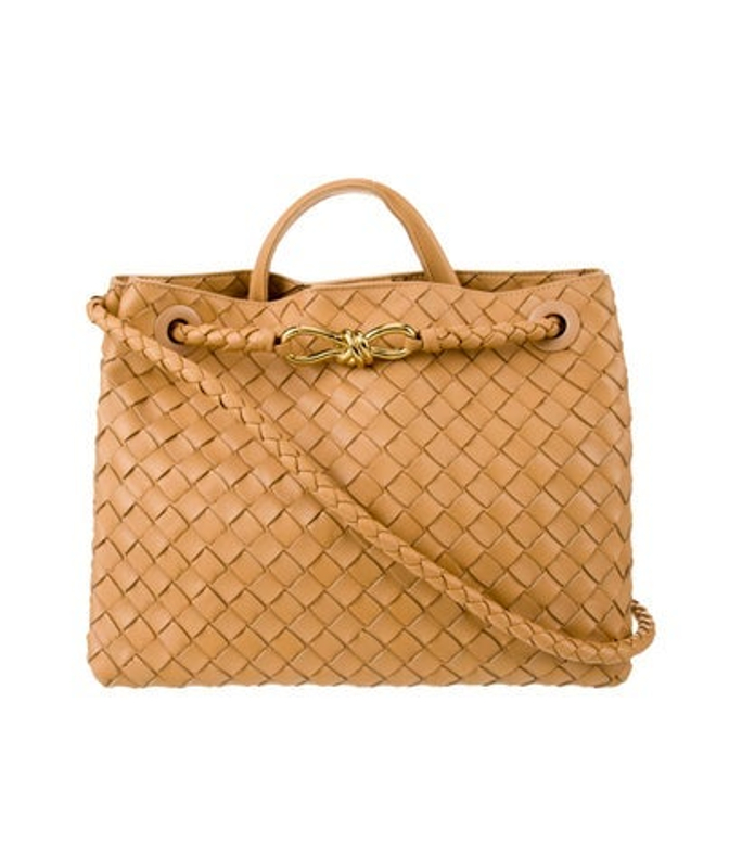 Bottega Veneta Veneta Intrecciato Andiamo Medium