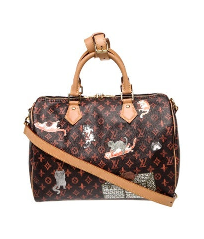 Louis Vuitton Vuitton Catogram Speedy Bandouliere 30
