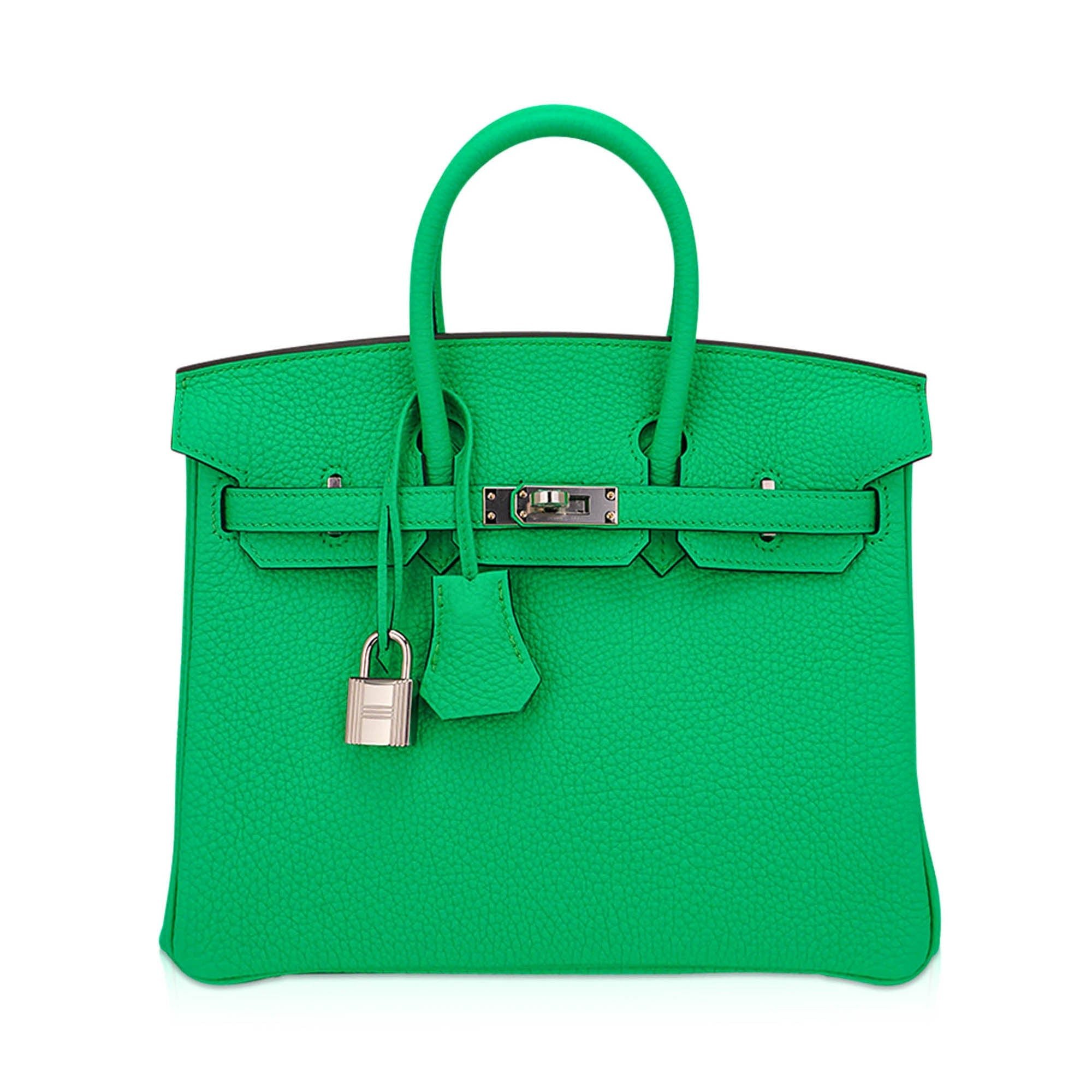 Hermes Hermes Birkin 25 Bag Vert Comics Togo Leather with Palladium Hardware