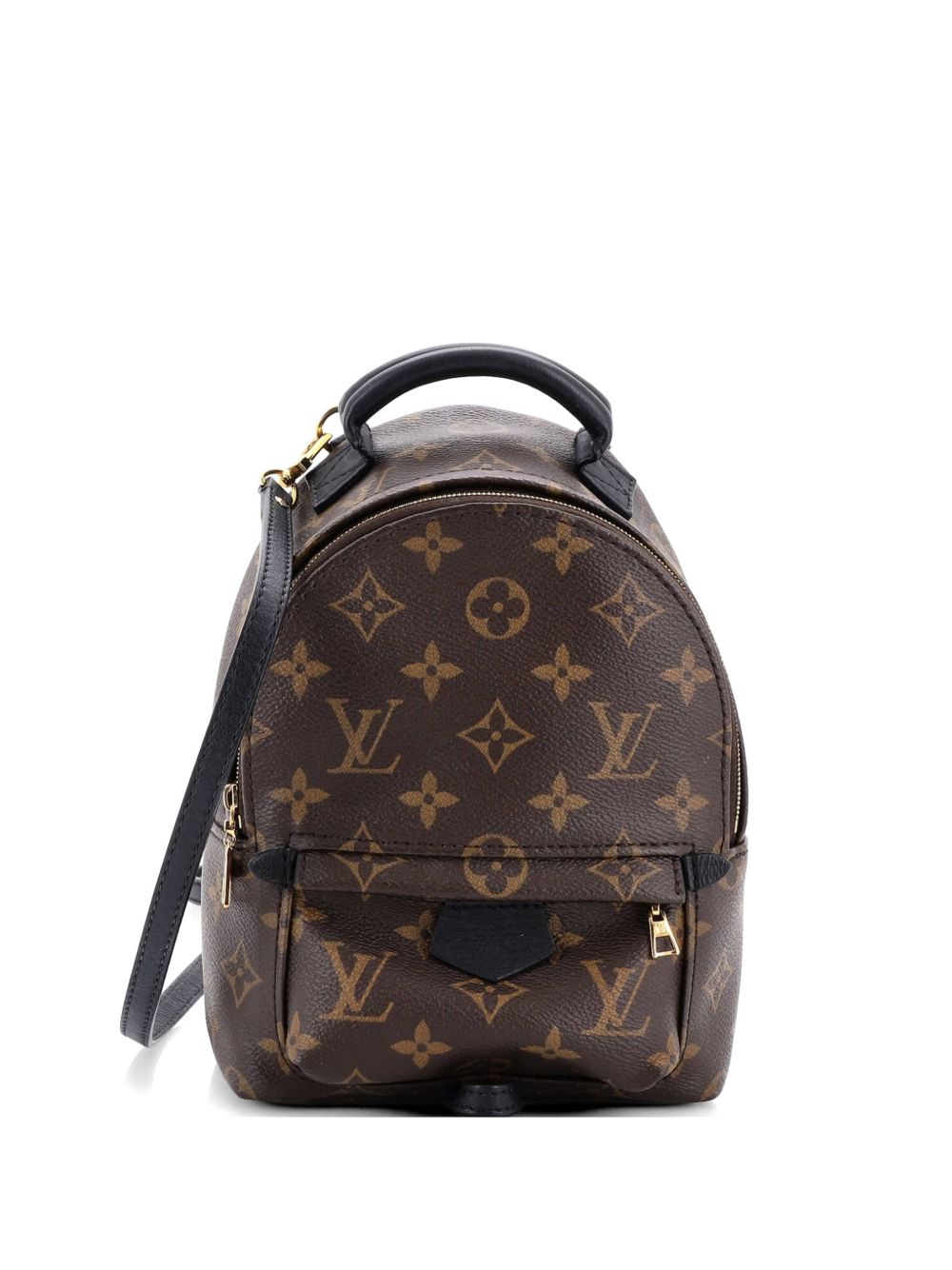 Palm Springs Monogram Canvas Mini backpack