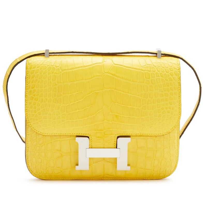 Hermes Mimosa Matte Mississippienisis Alligator Mini Constance 18 Palladium Hardware, 2023