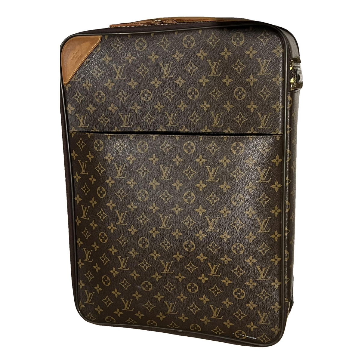 Pegase leather travel bag