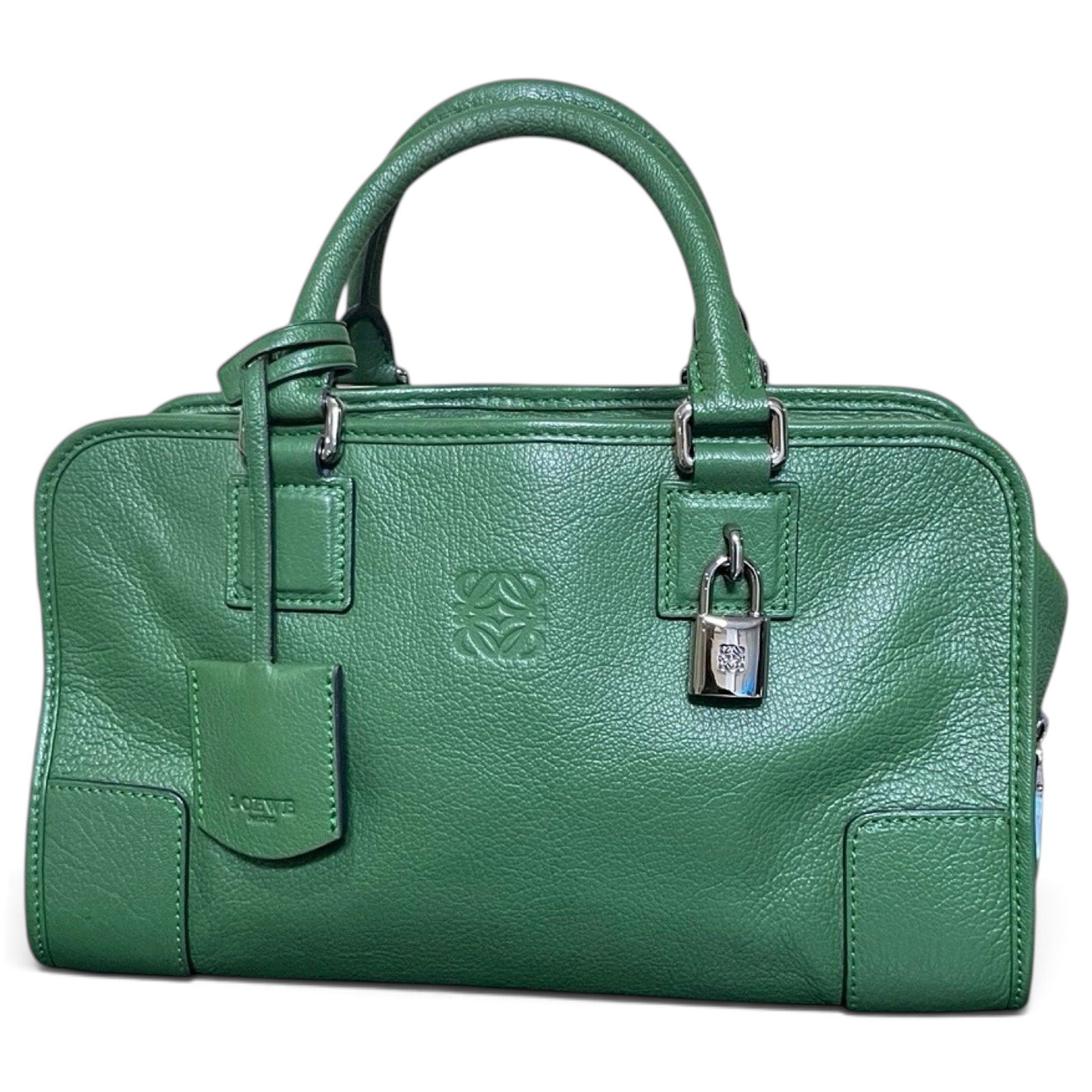Amazona leather handbag
