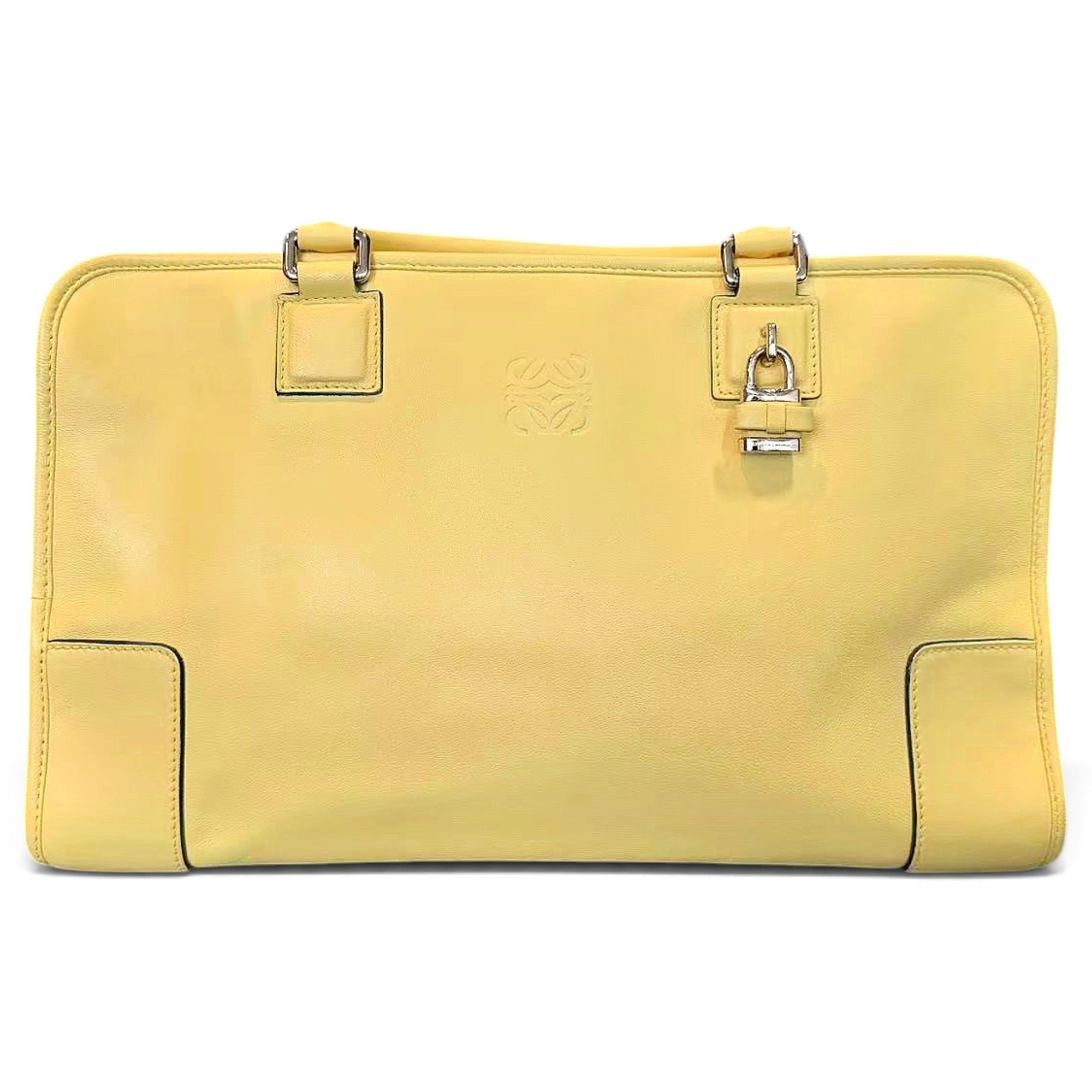 Amazona leather handbag