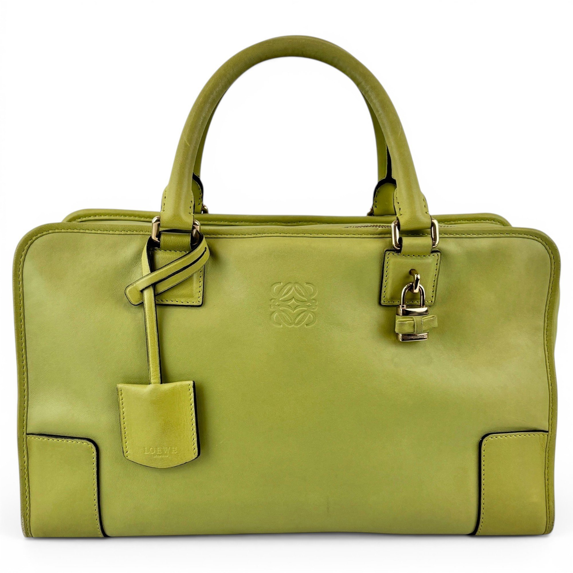 Amazona leather handbag