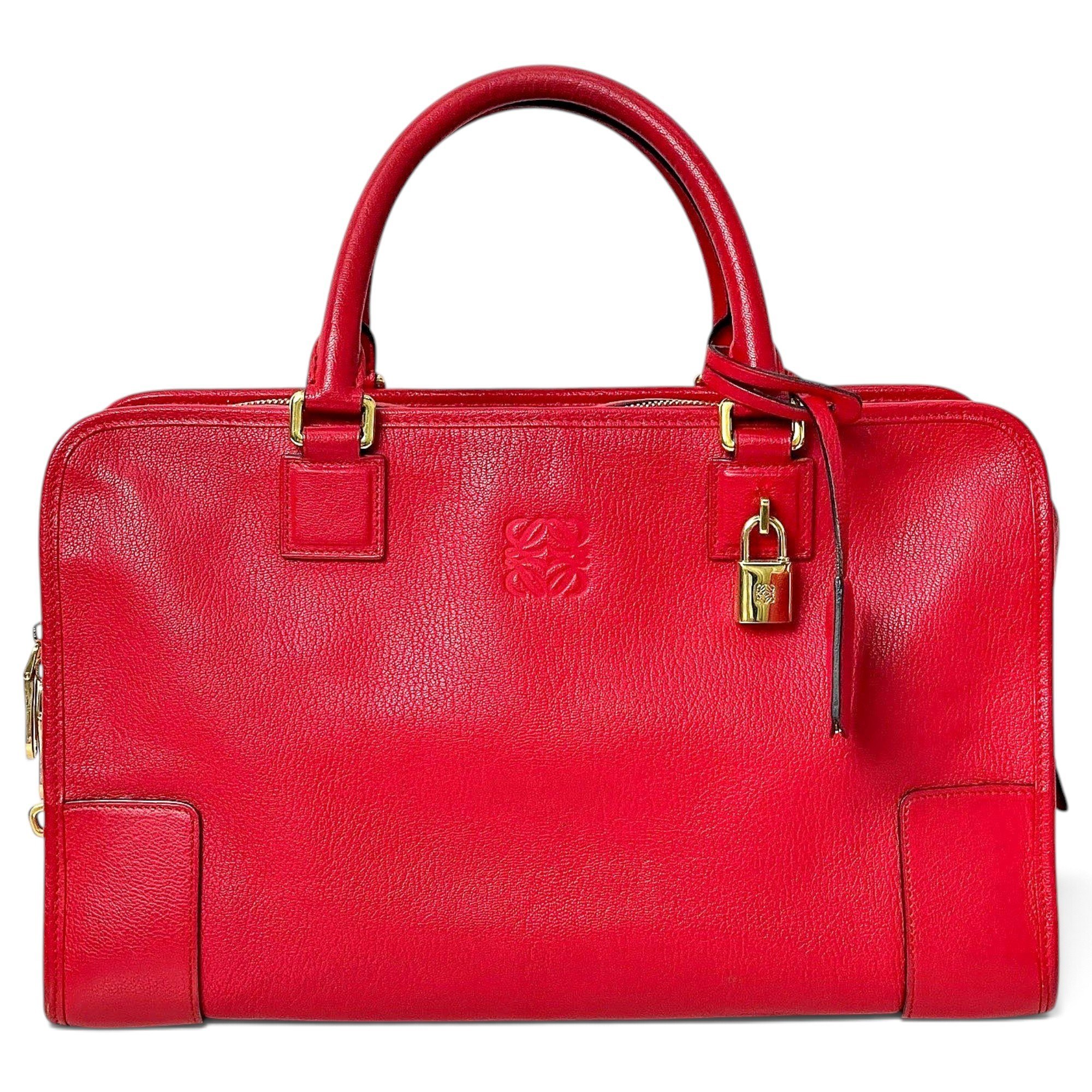 Amazona leather handbag