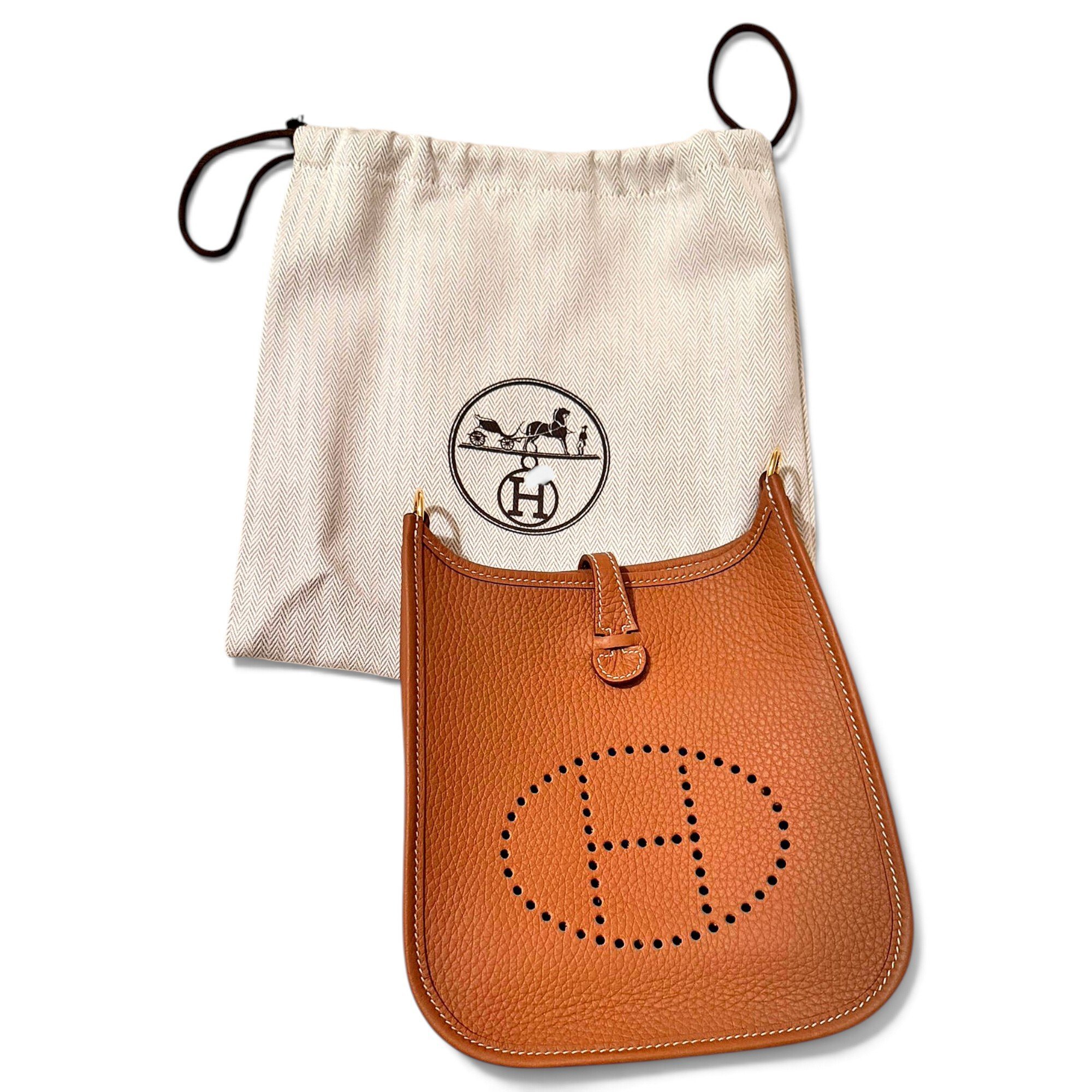 Mini Evelyne leather crossbody bag