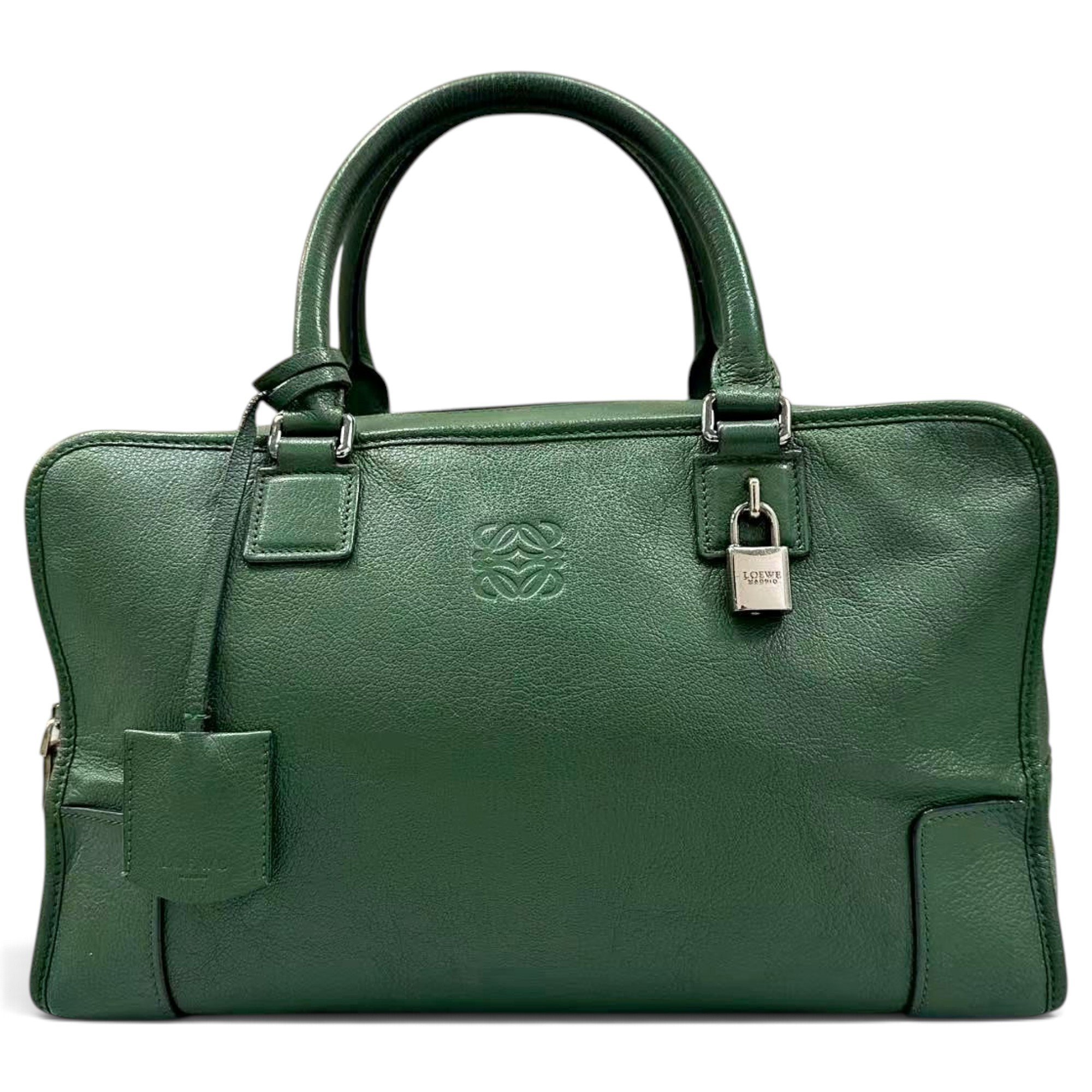 Amazona leather handbag