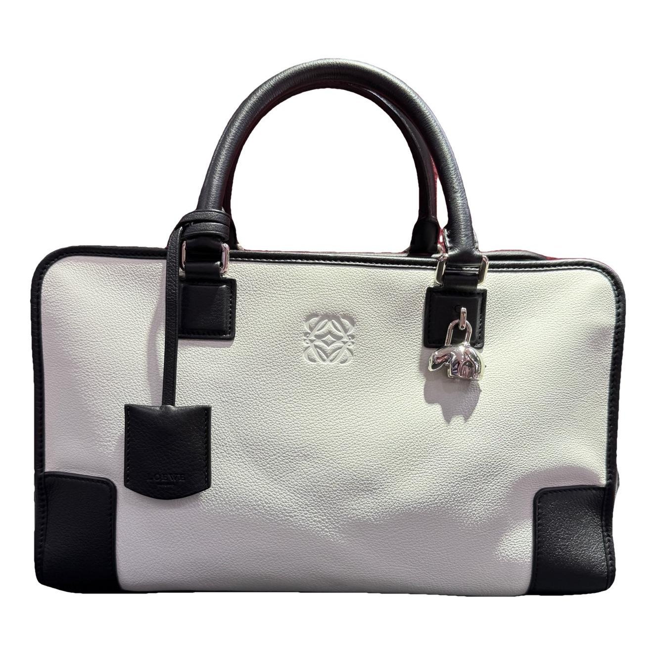 Amazona leather handbag