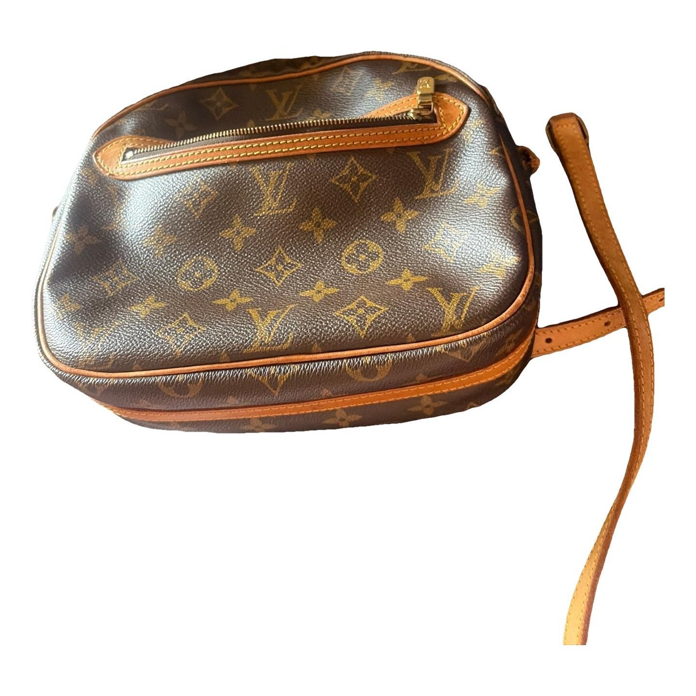 Marly Dragonne clutch bag