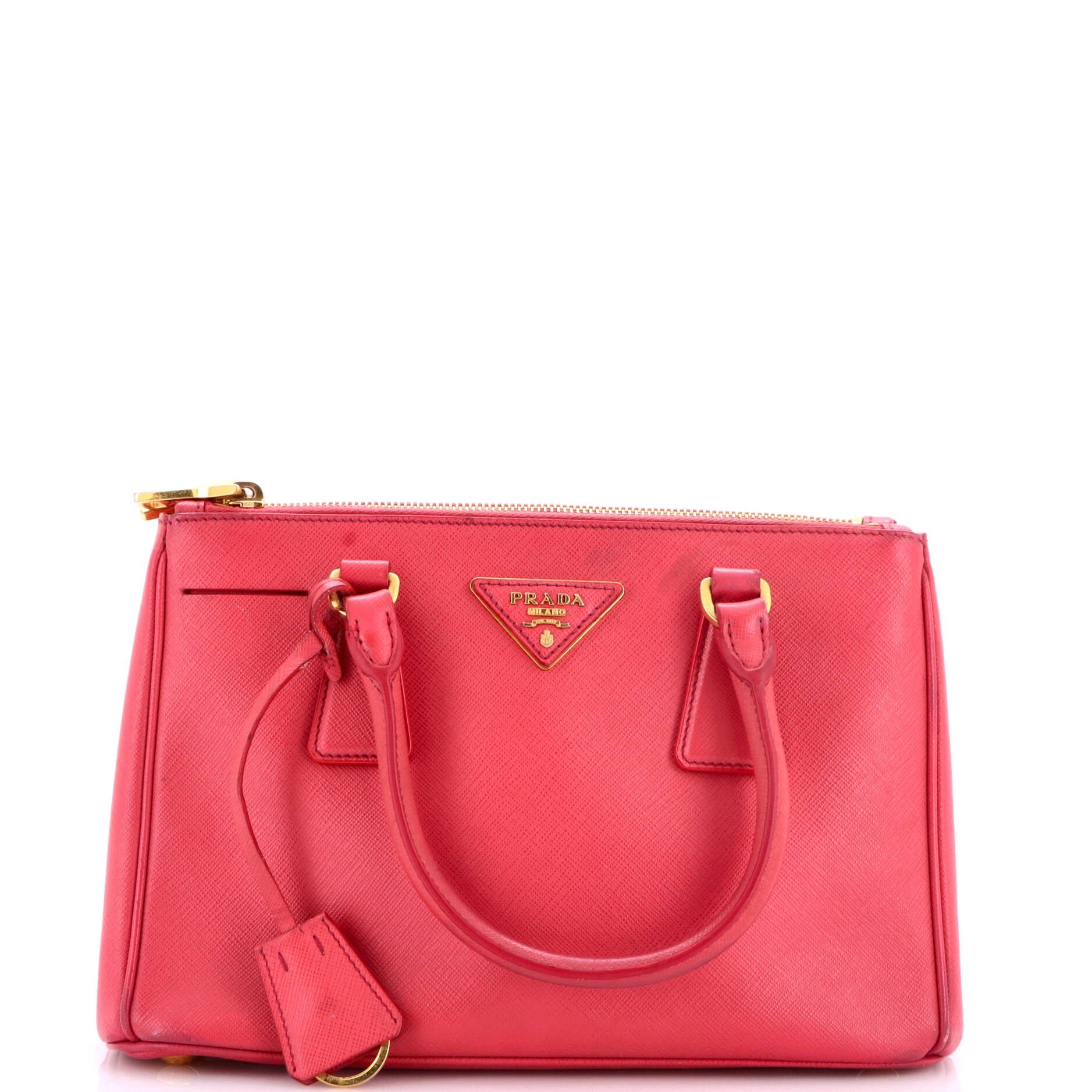 Bicolor Double Zip Lux Tote Saffiano Leather Mini