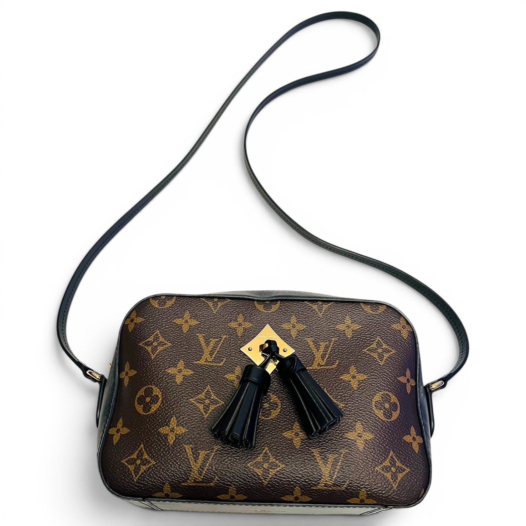 Saintonge leather crossbody bag