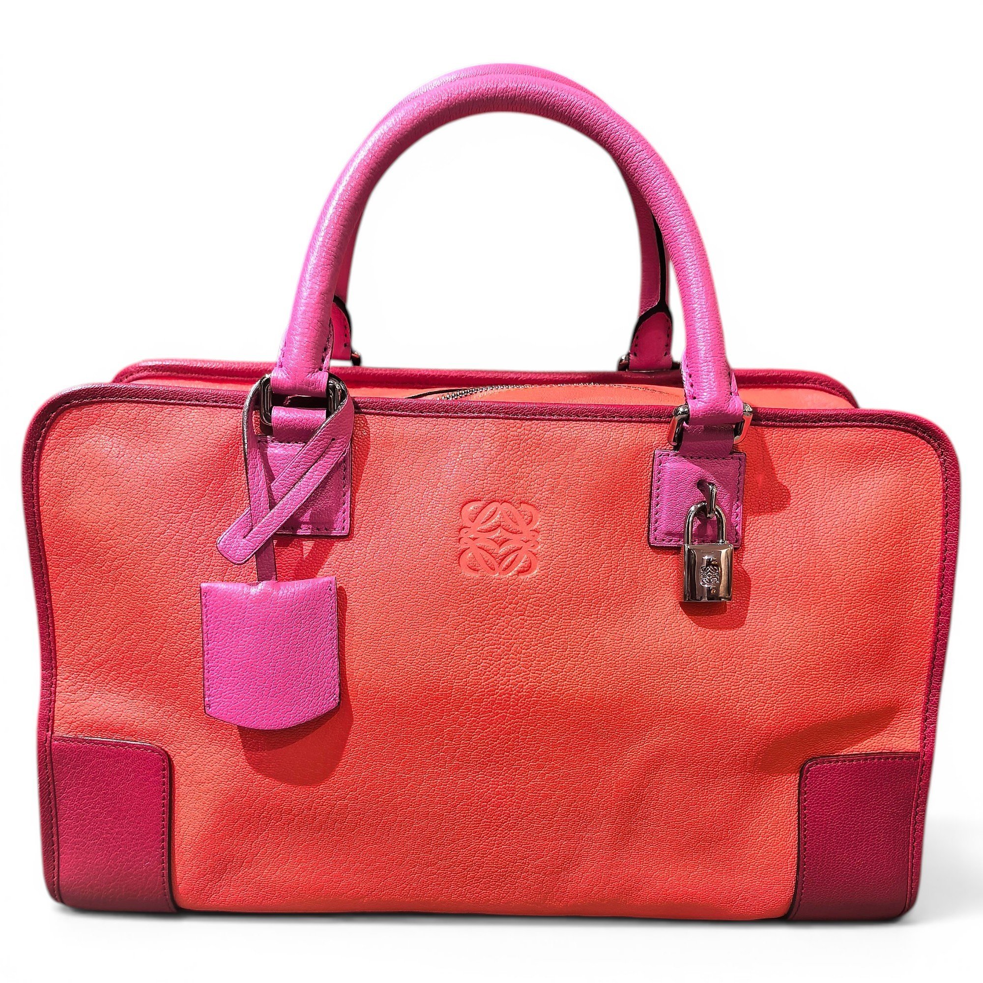 Amazona leather bag