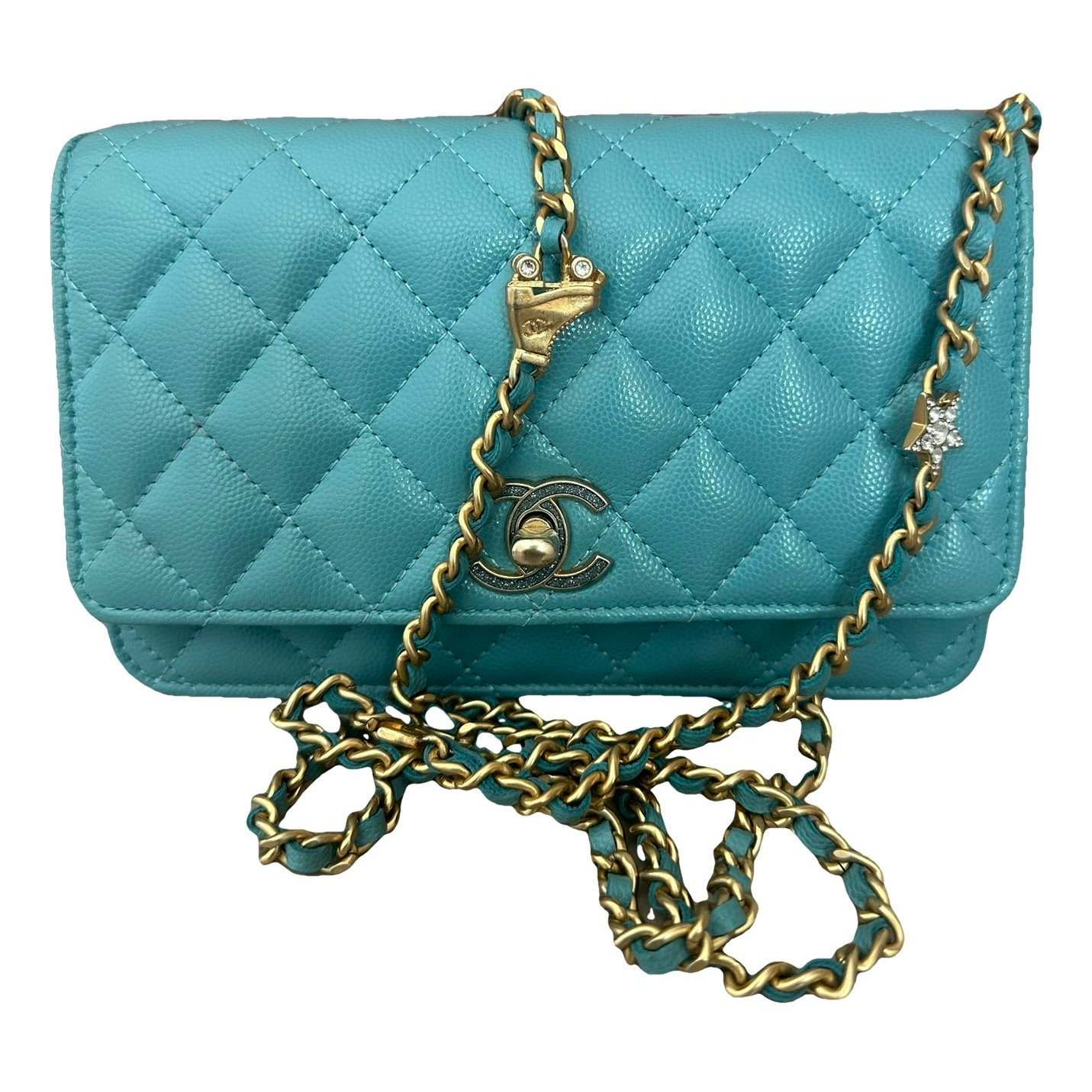 Trendy CC Wallet on Chain leather crossbody bag