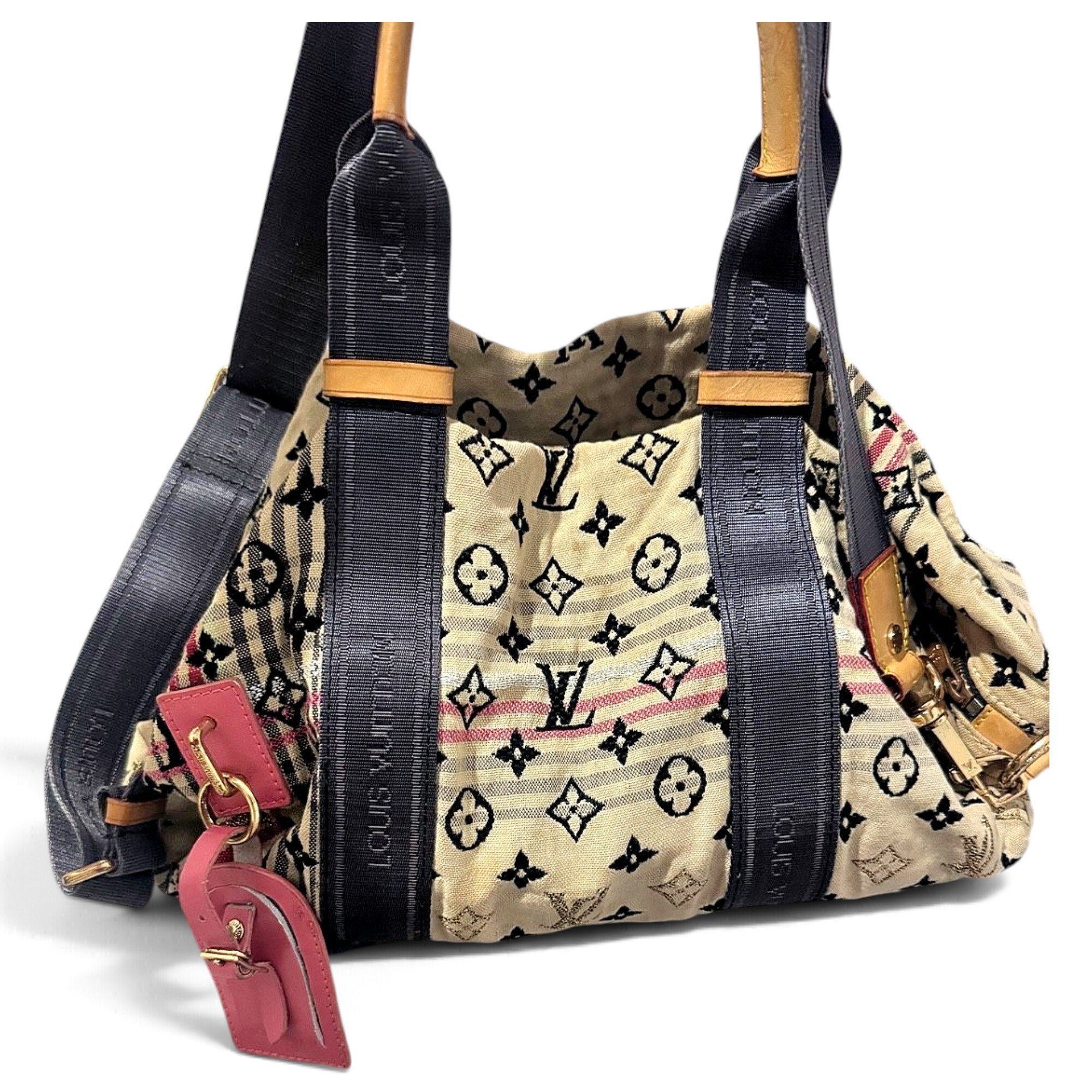 Louis Vuitton Speedy cloth bag