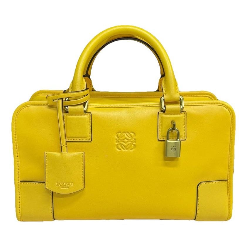Amazona 75 leather handbag