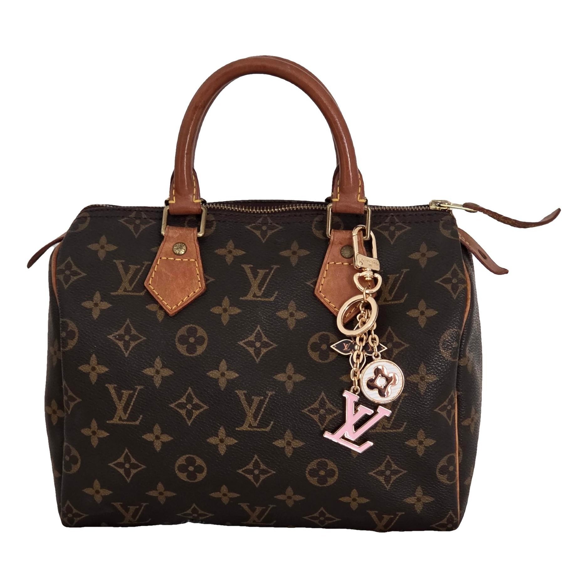 Louis Vuitton Speedy leather handbag