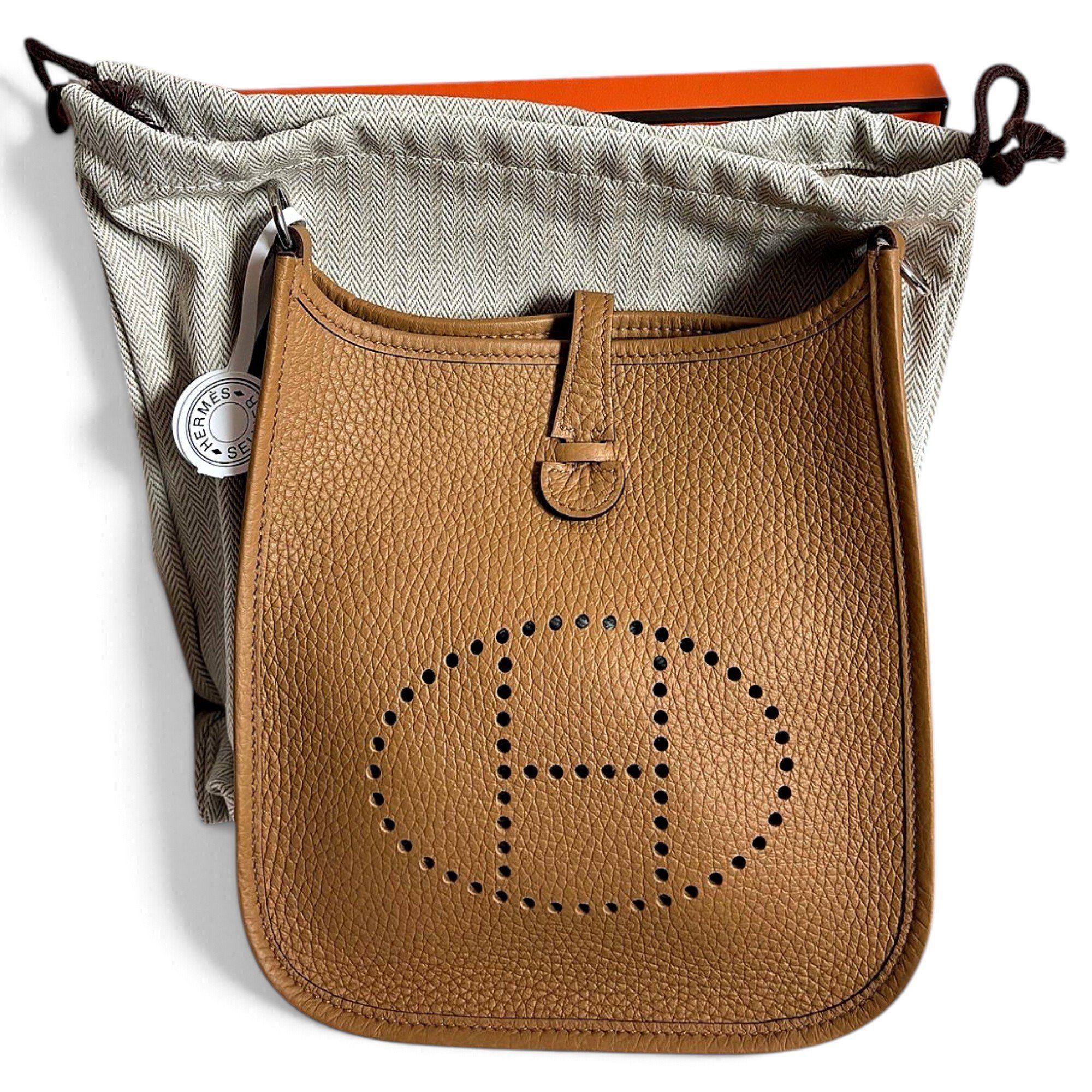 Mini Evelyne leather crossbody bag
