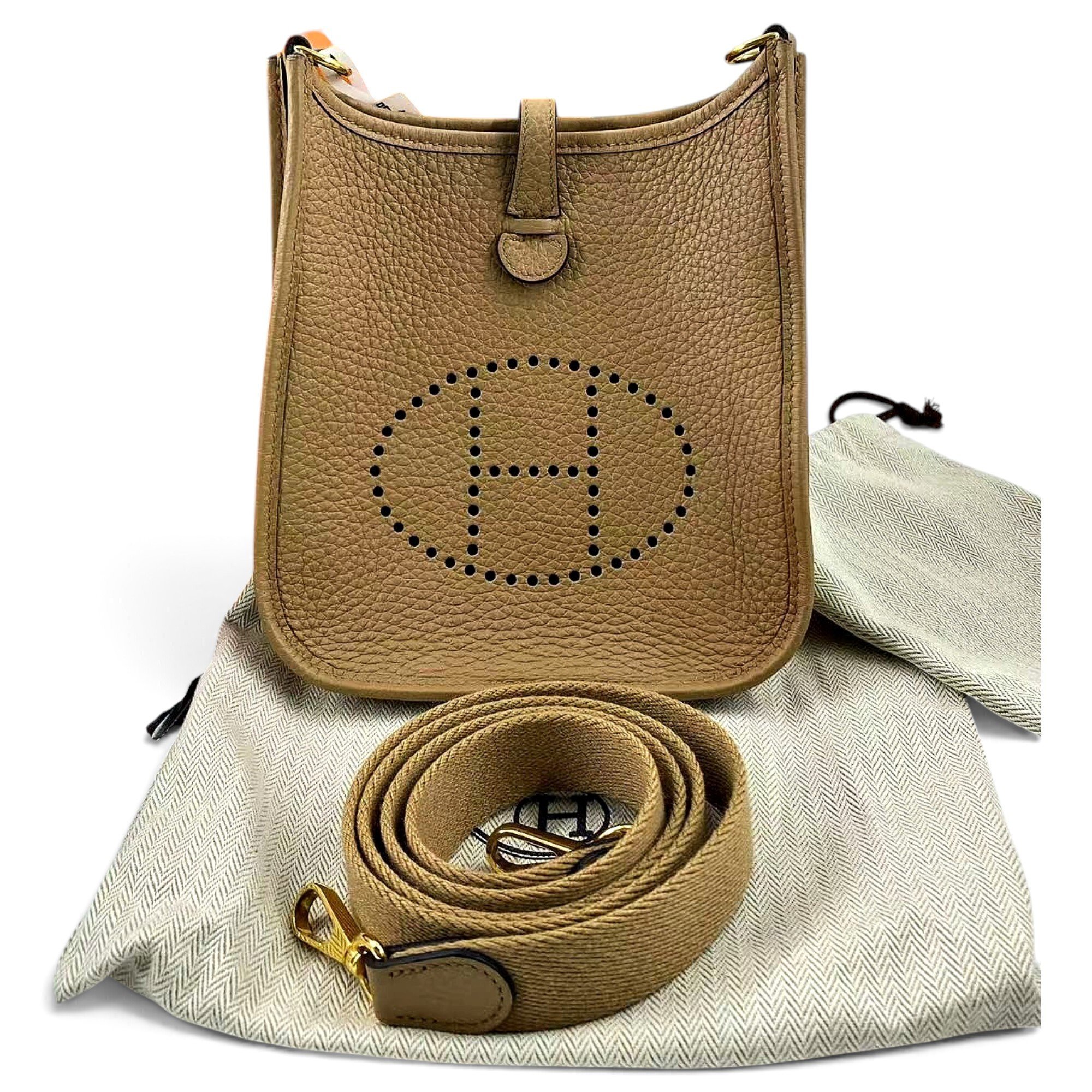 Mini Evelyne leather crossbody bag