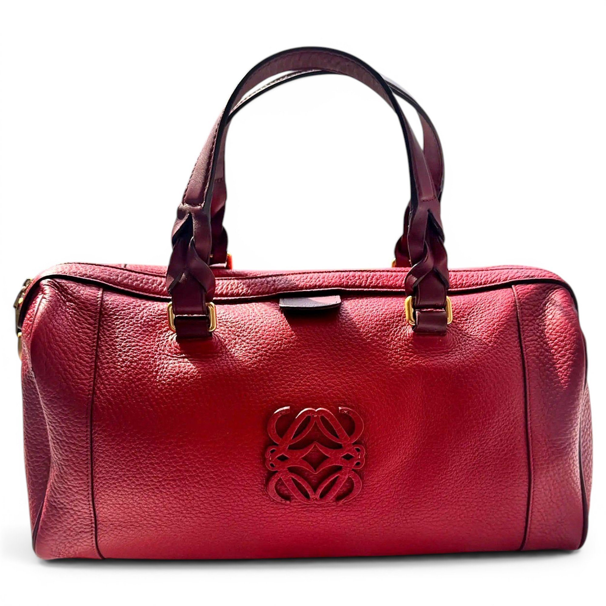Amazona leather handbag